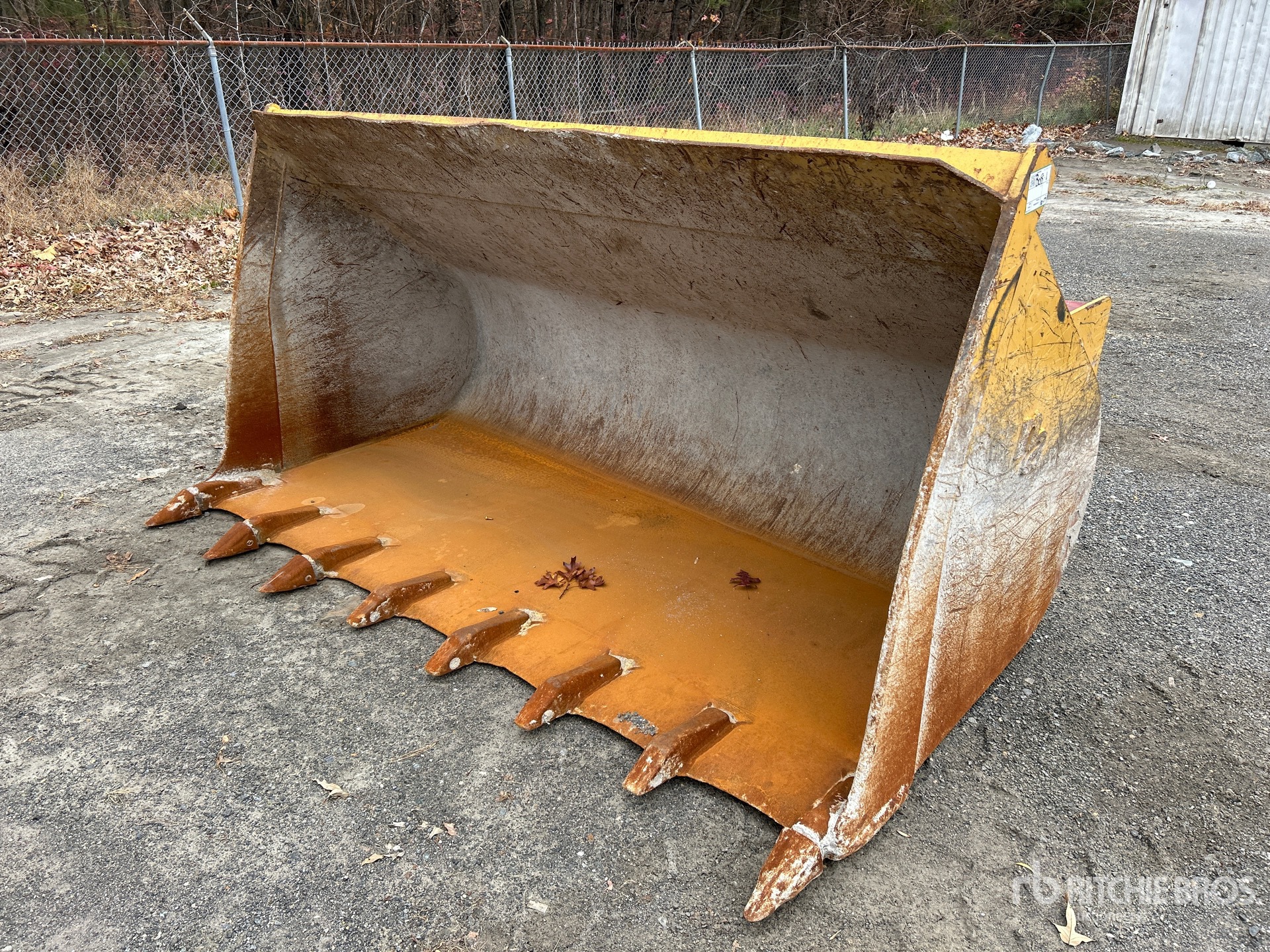 General Appearance with Bild, Ecke vorne links