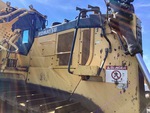 General Appearance with Paint