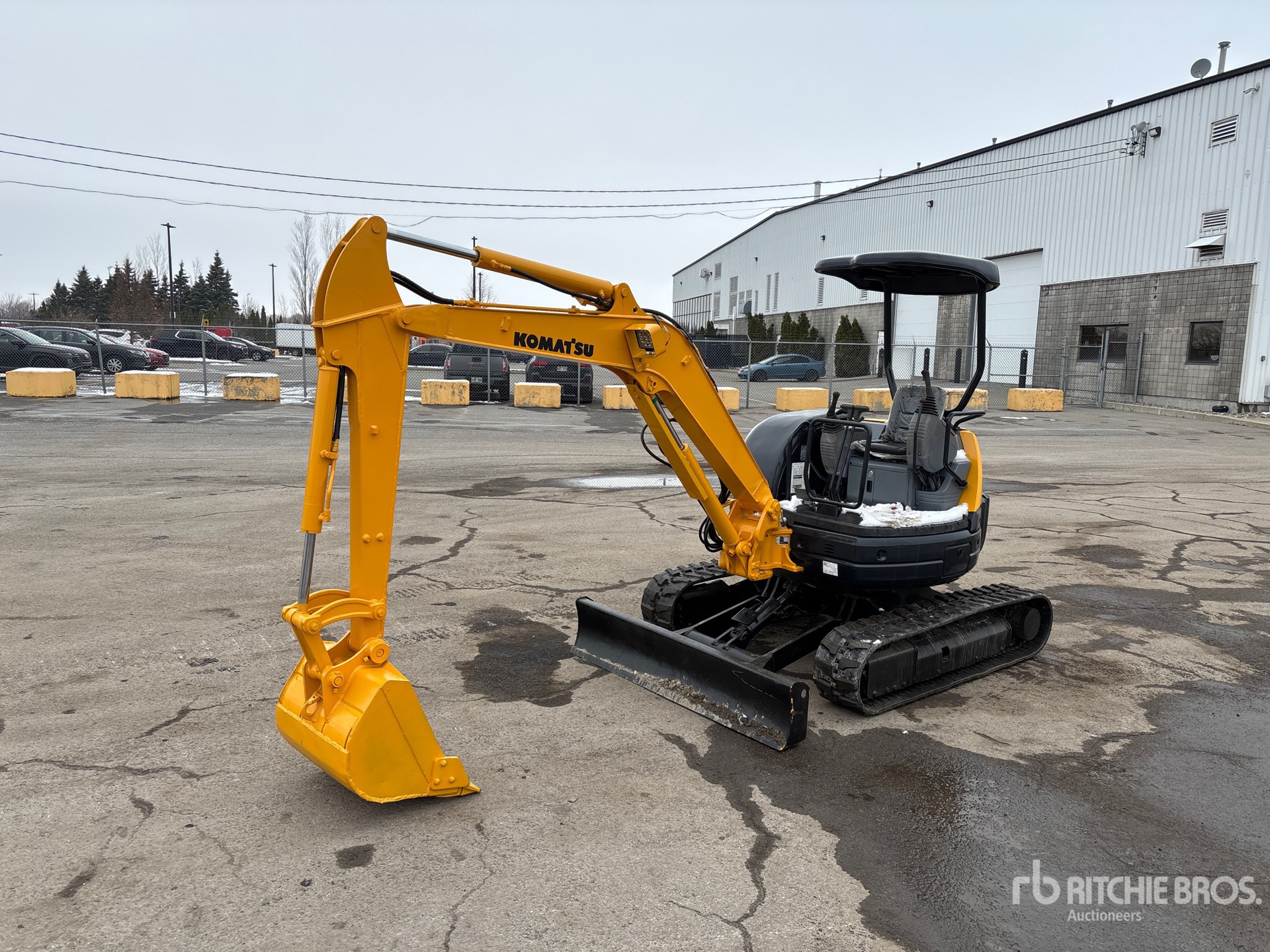 General Appearance with Spin