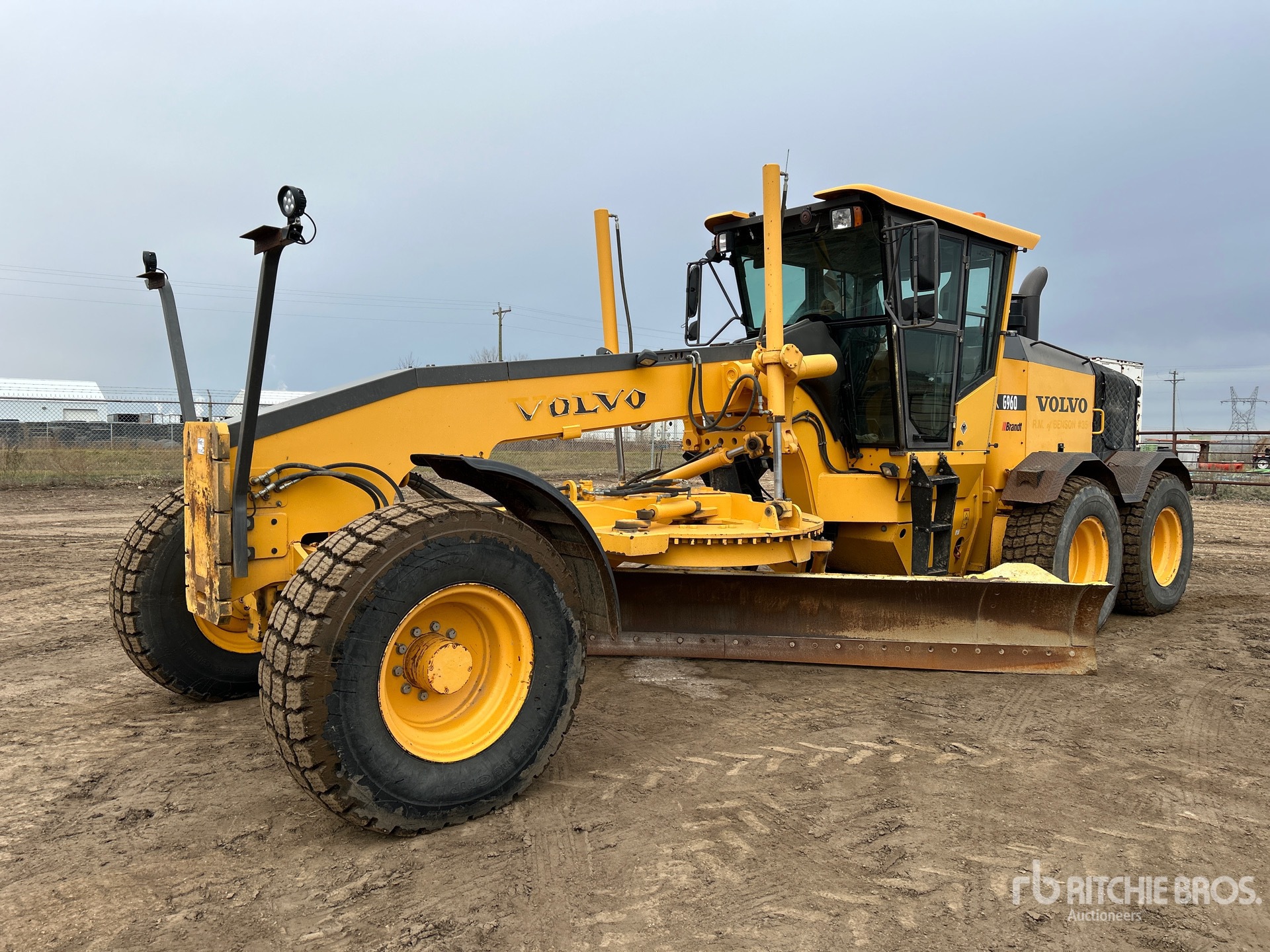 General Appearance with Spin