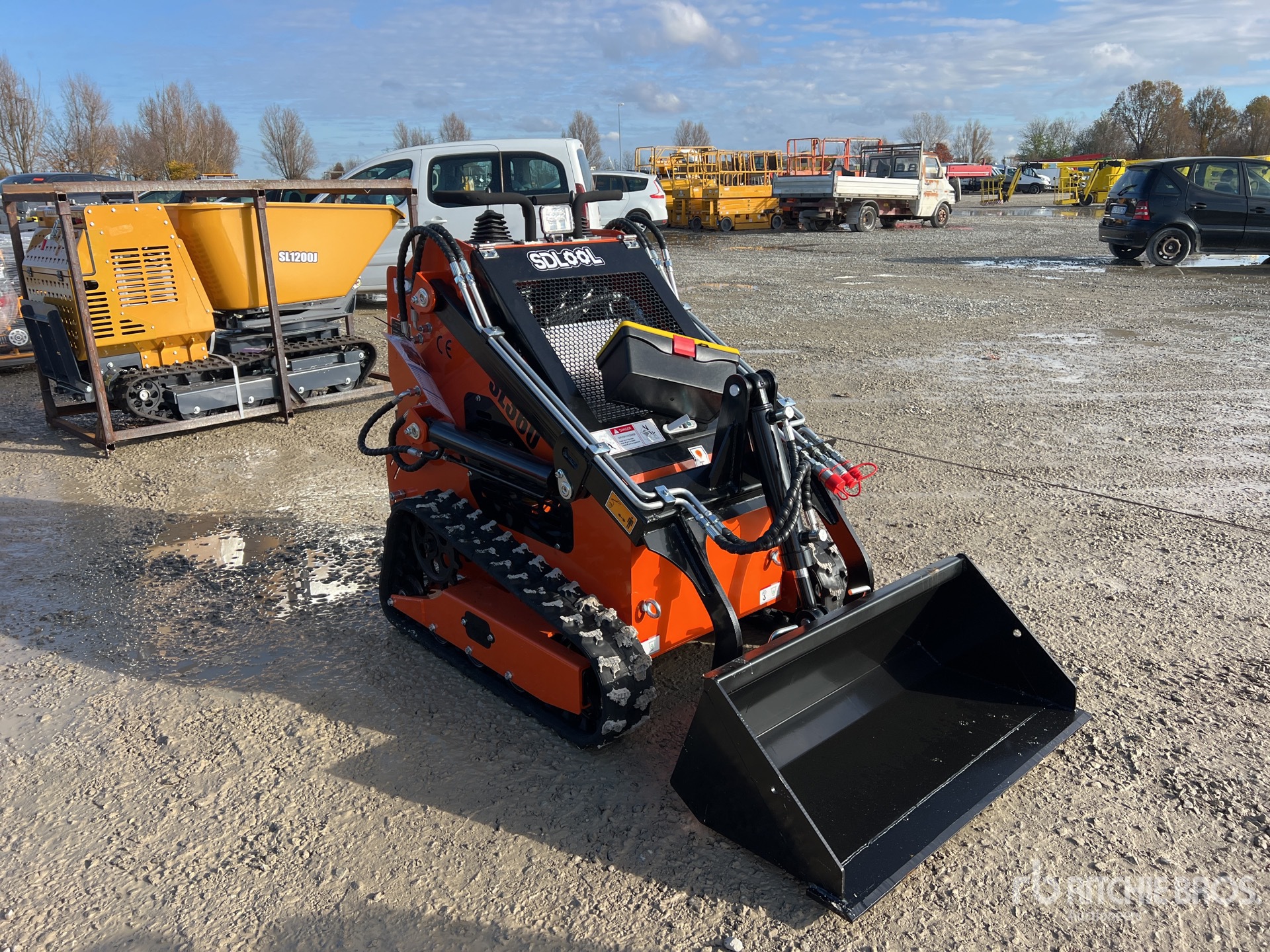 General Appearance with 