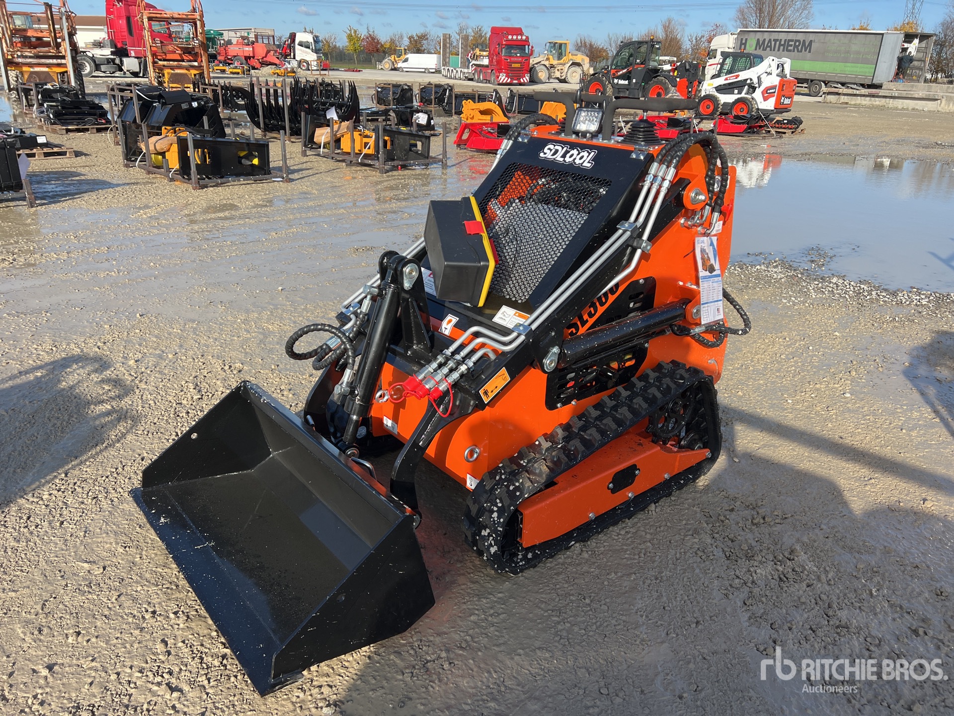 General Appearance with 