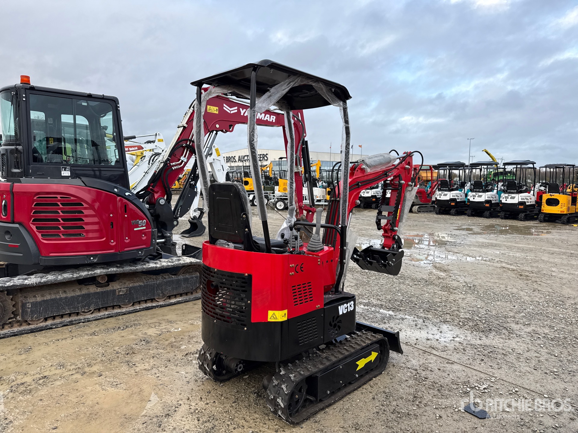 General Appearance with 