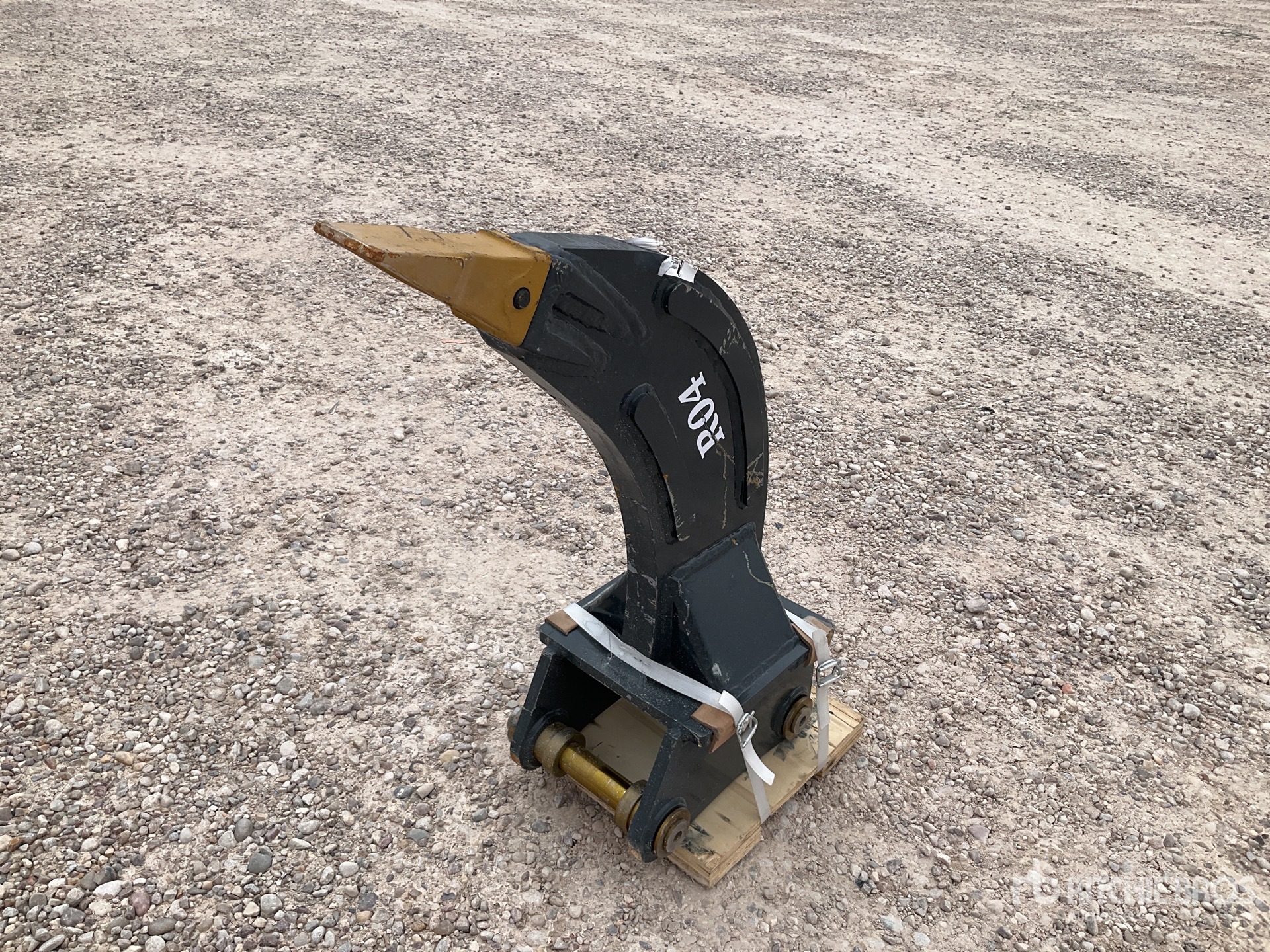 General Appearance with Foto, angolo anteriore sinistro