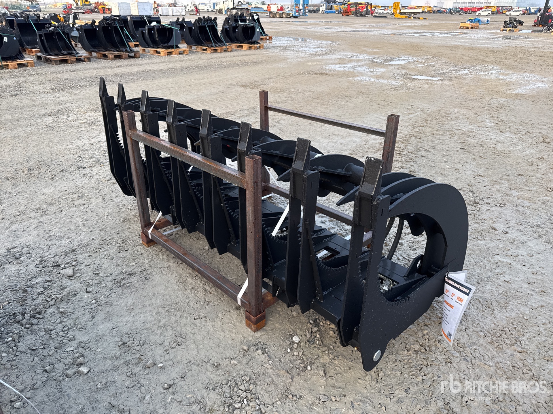 General Appearance with 