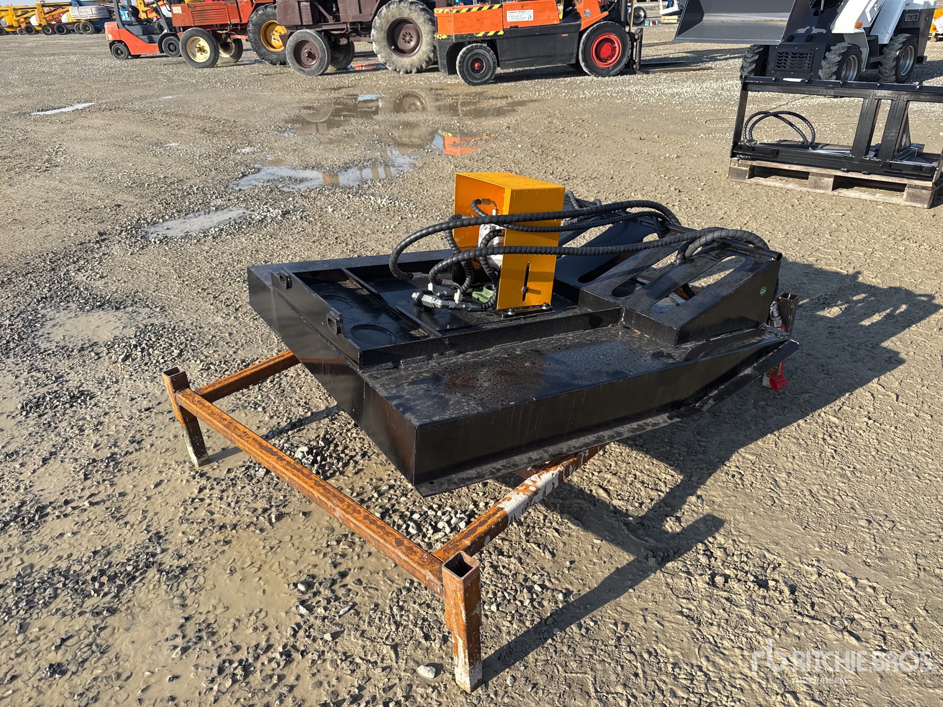 General Appearance with 