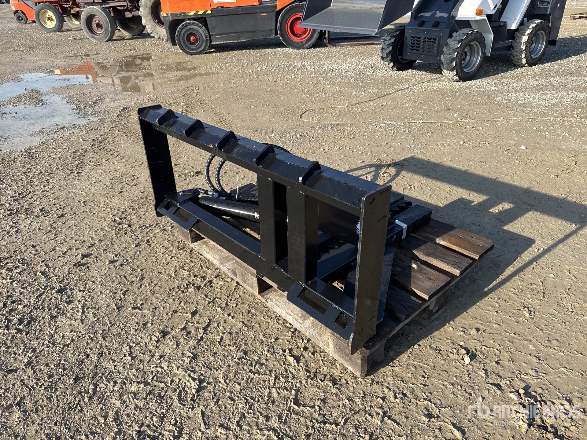 General Appearance with 