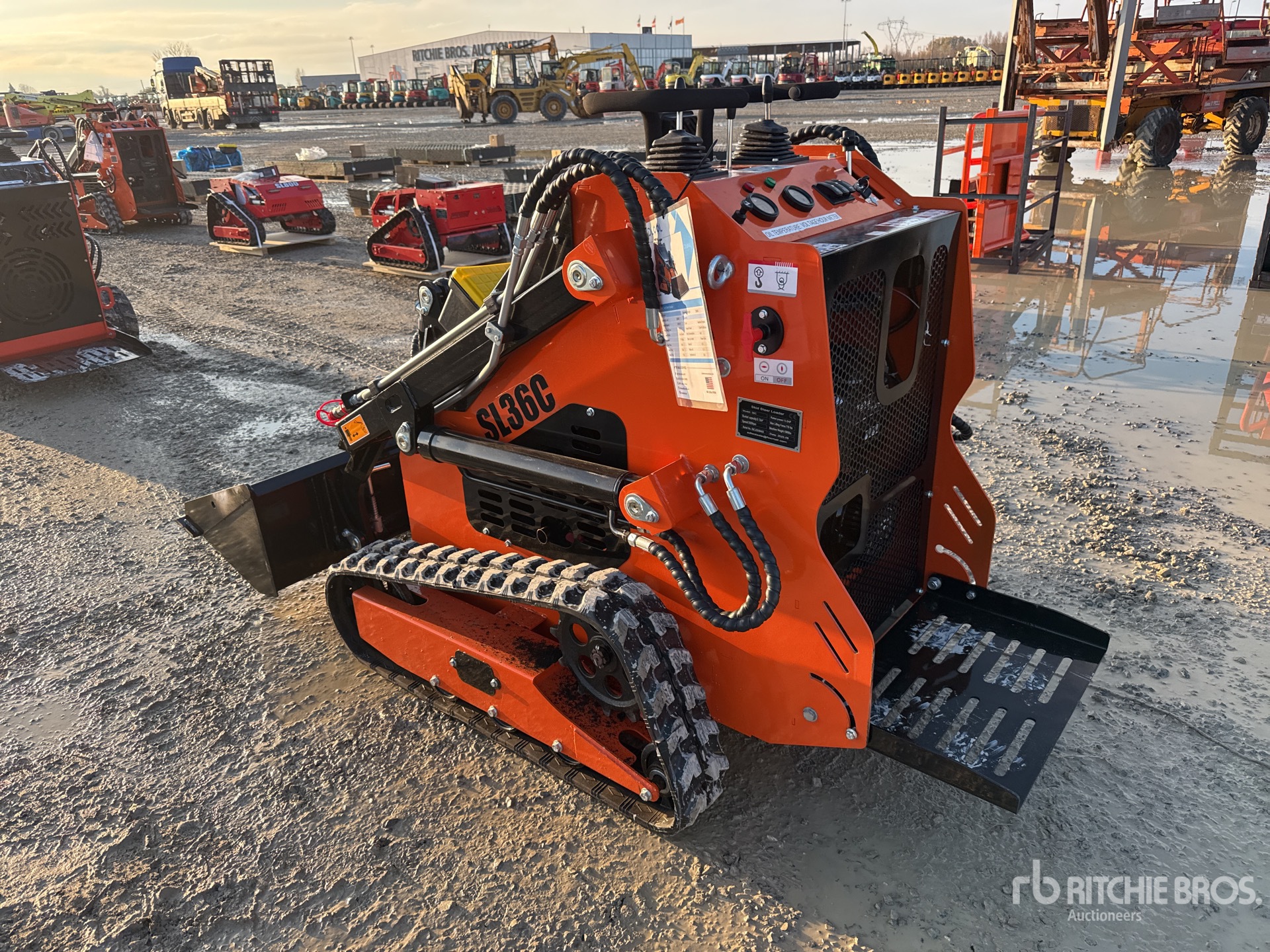 General Appearance with 