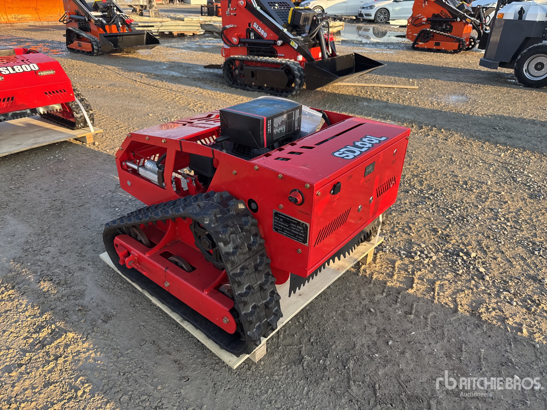 General Appearance with 