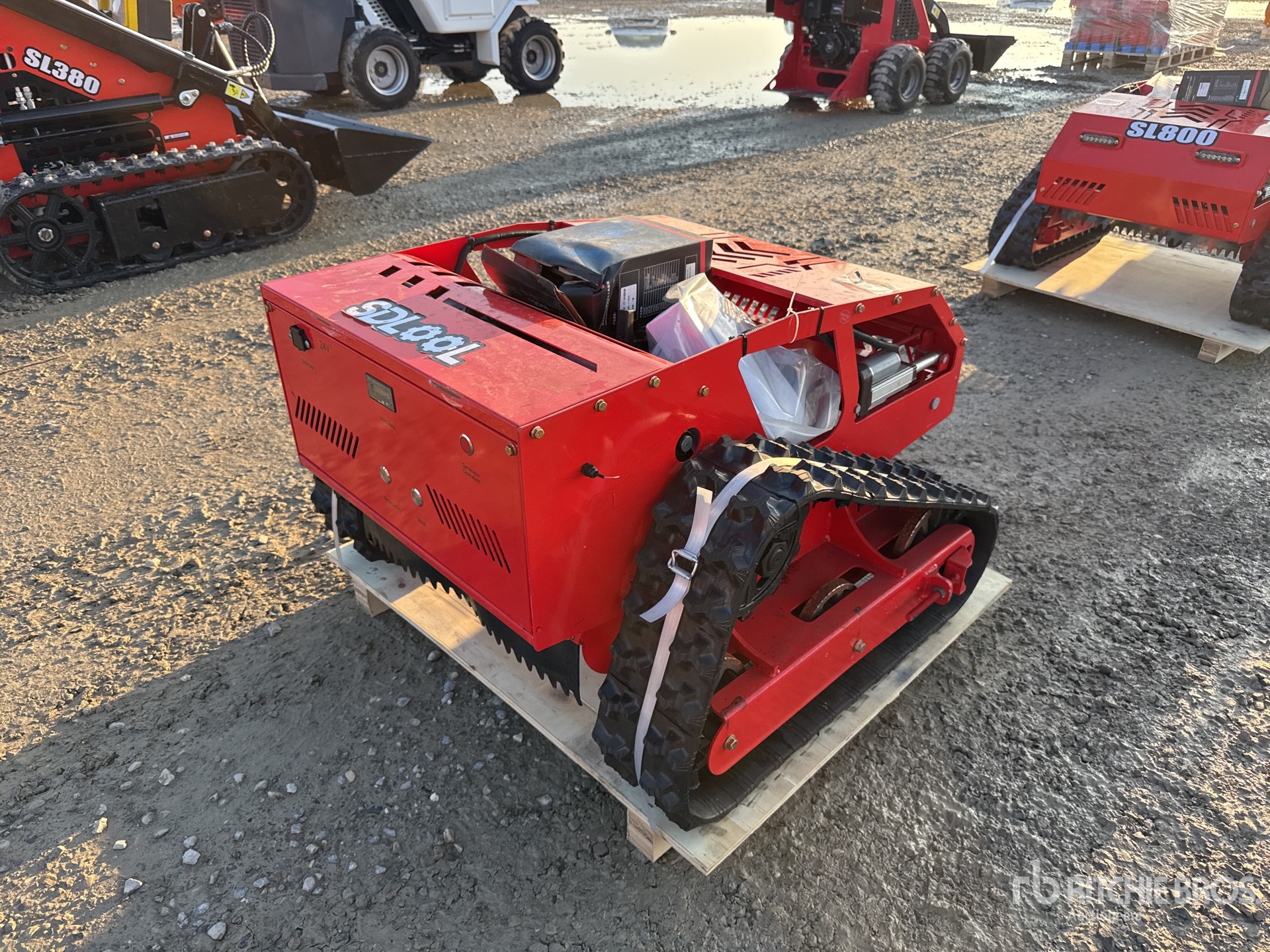 General Appearance with 