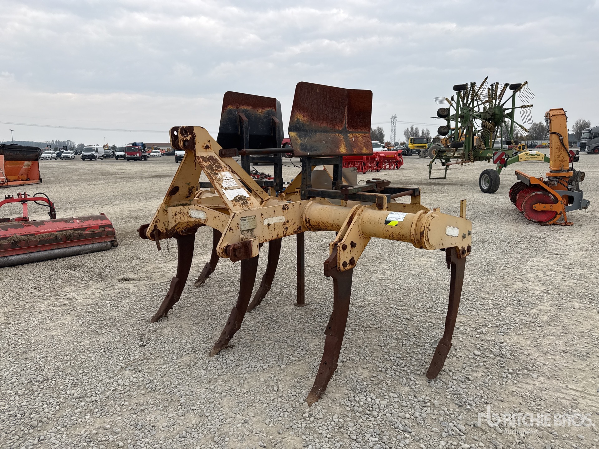 General Appearance with 