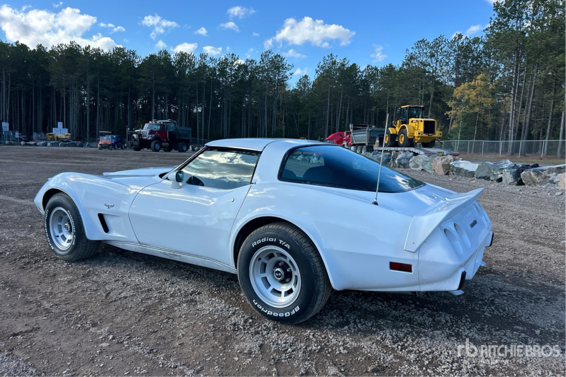 General Appearance with Picture, Left Rear Corner