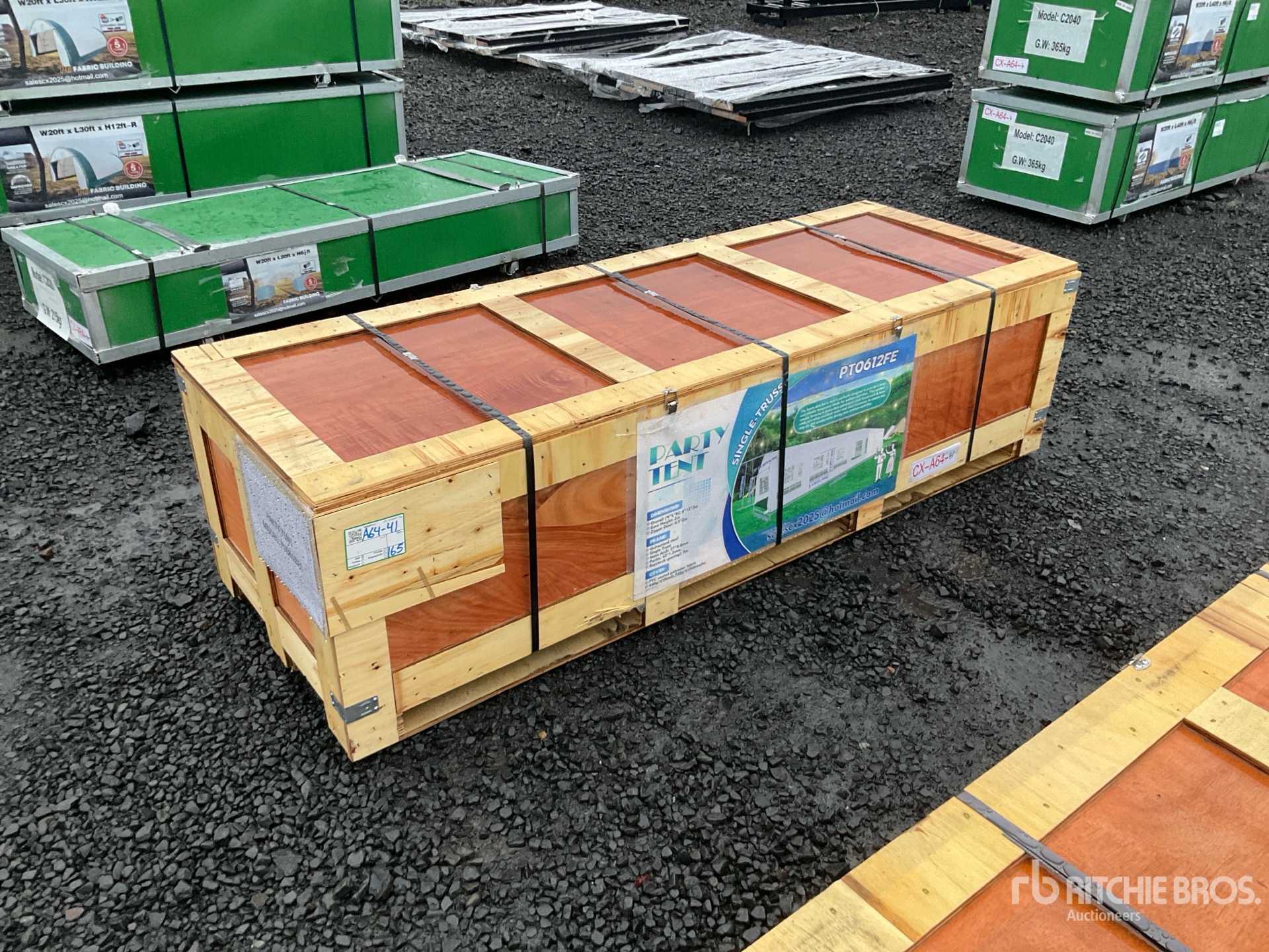 General Appearance with 