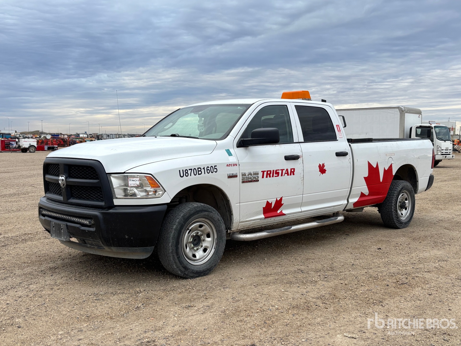 General Appearance with Spin