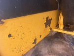 General Appearance with Peinture