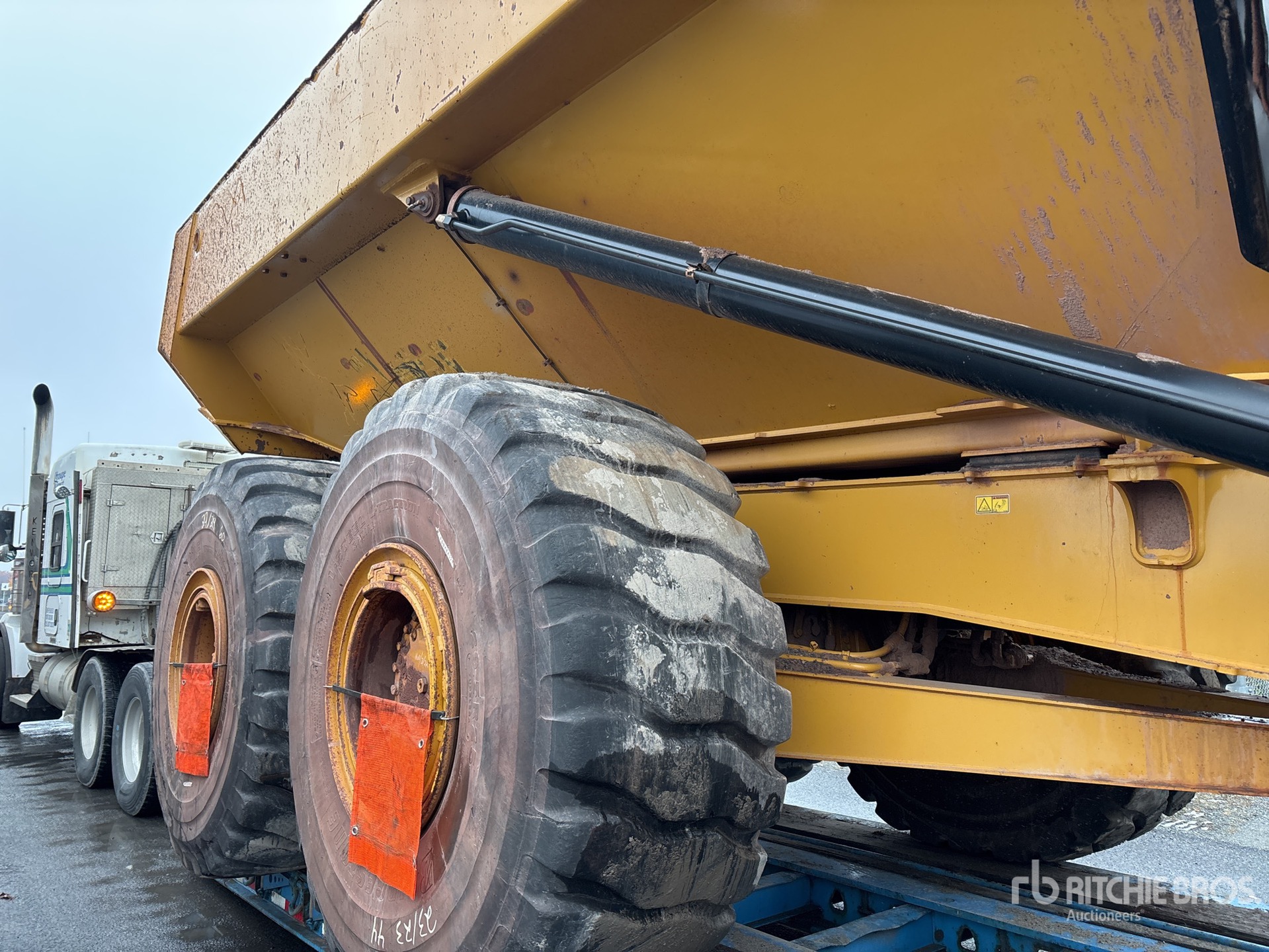 General Appearance with 