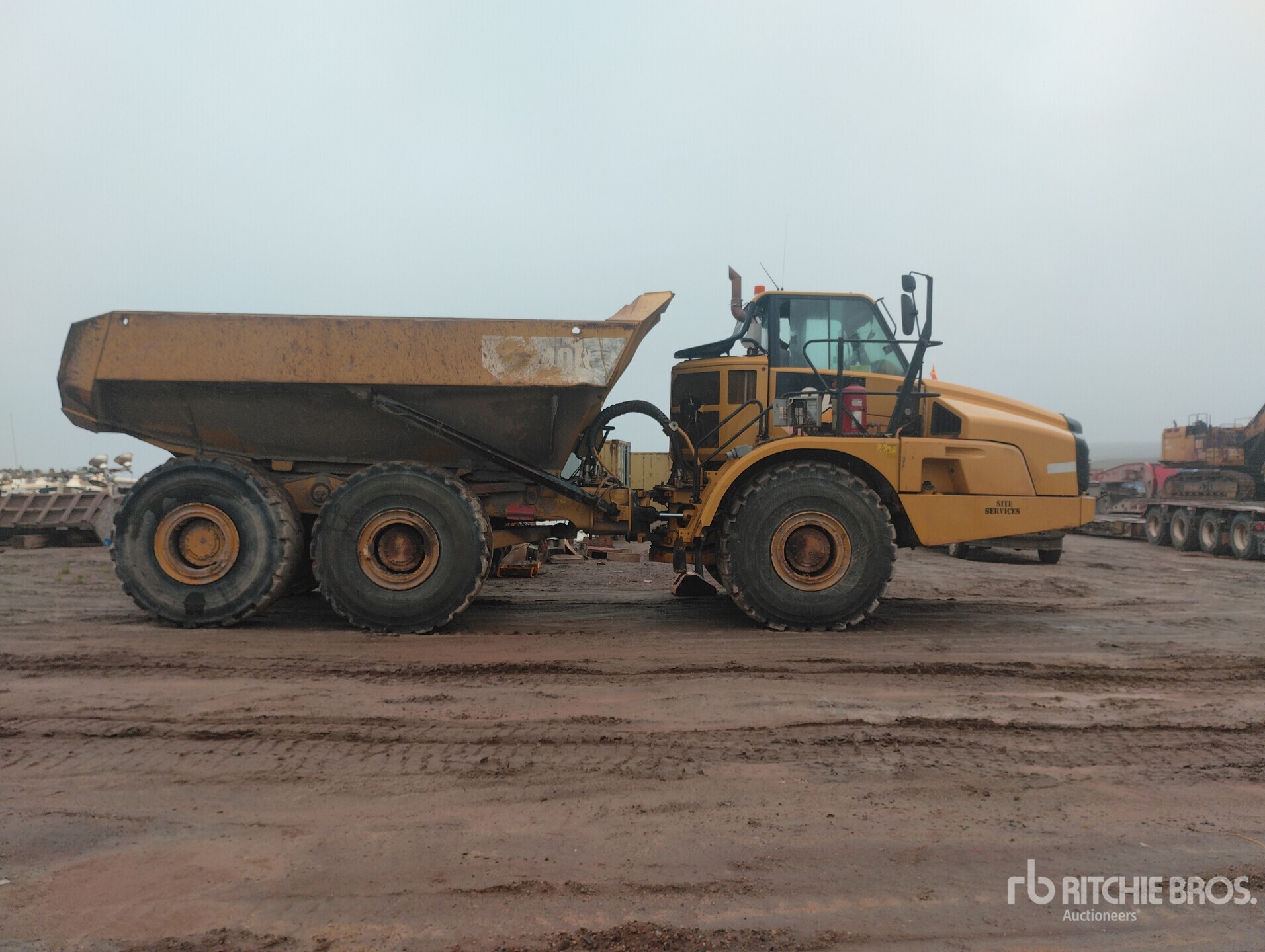 General Appearance with 