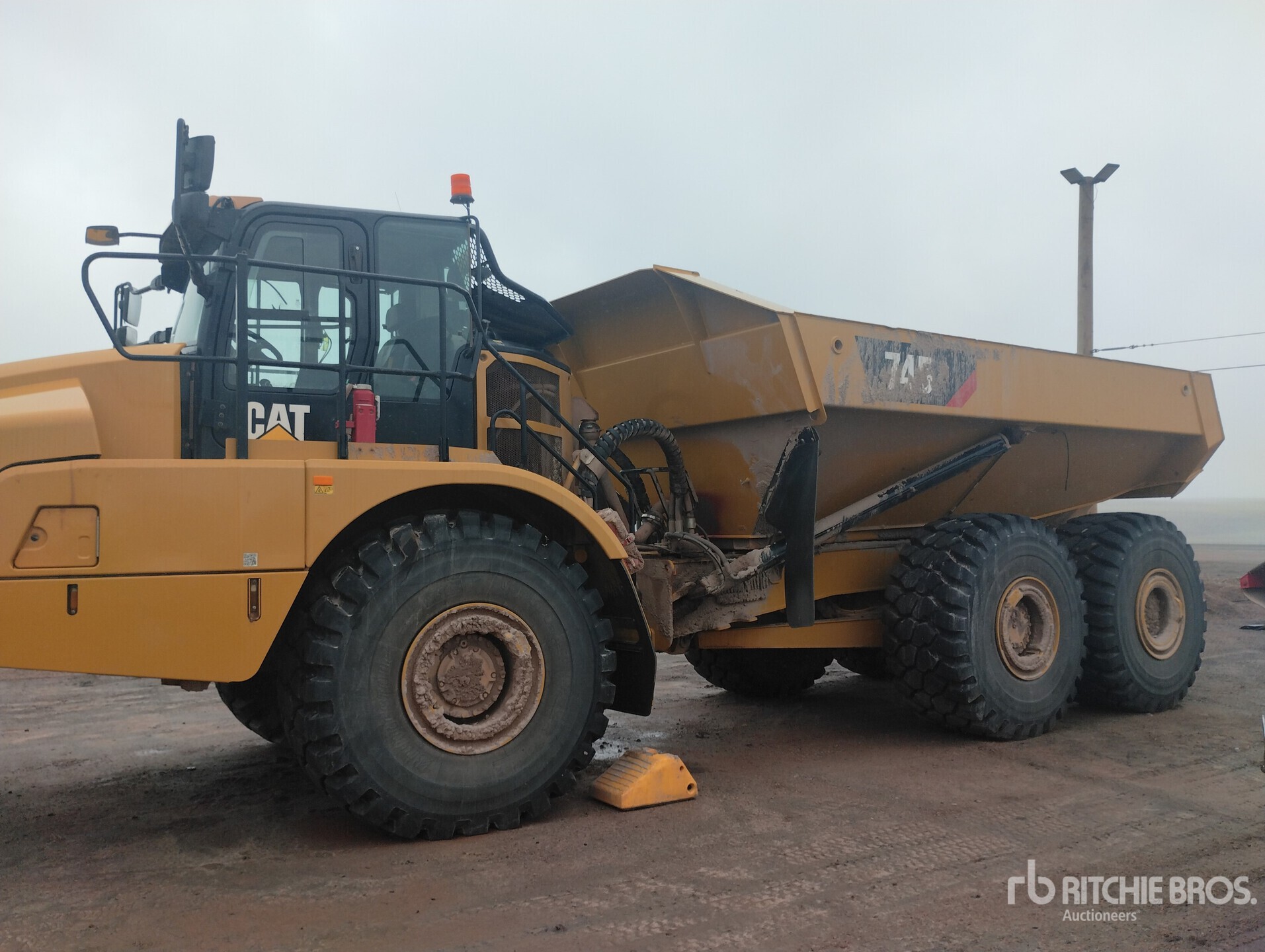 General Appearance with 