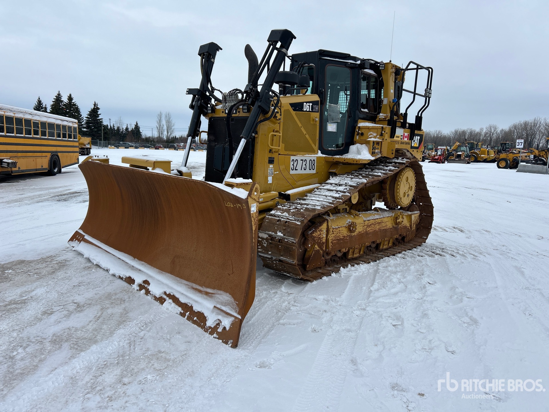 General Appearance with Spin