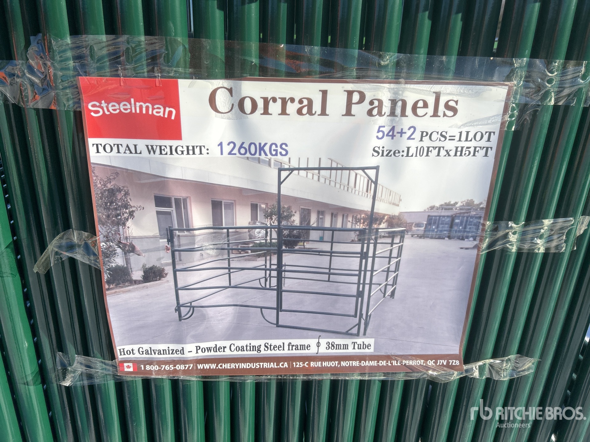 General Appearance with 