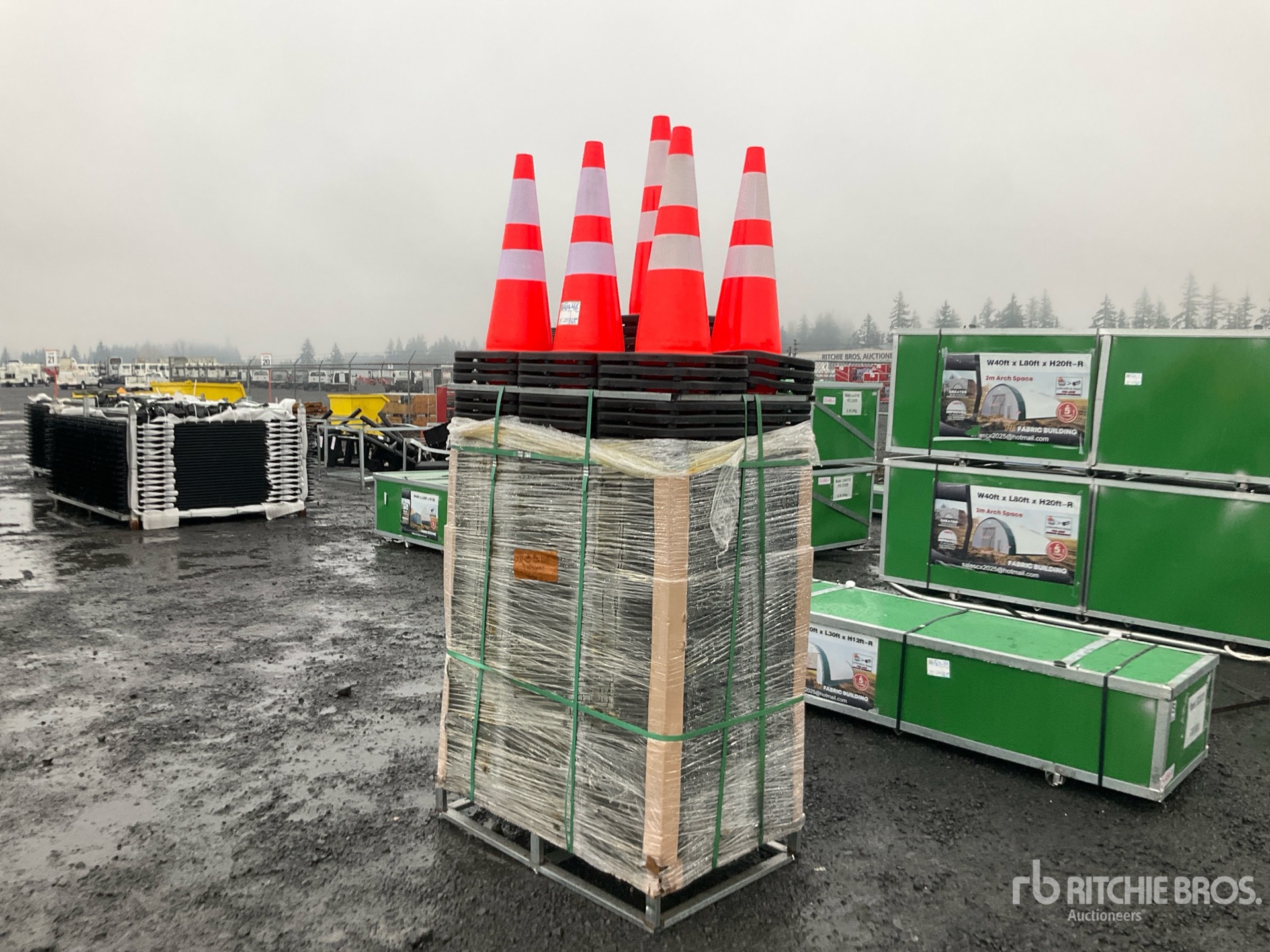 General Appearance with 