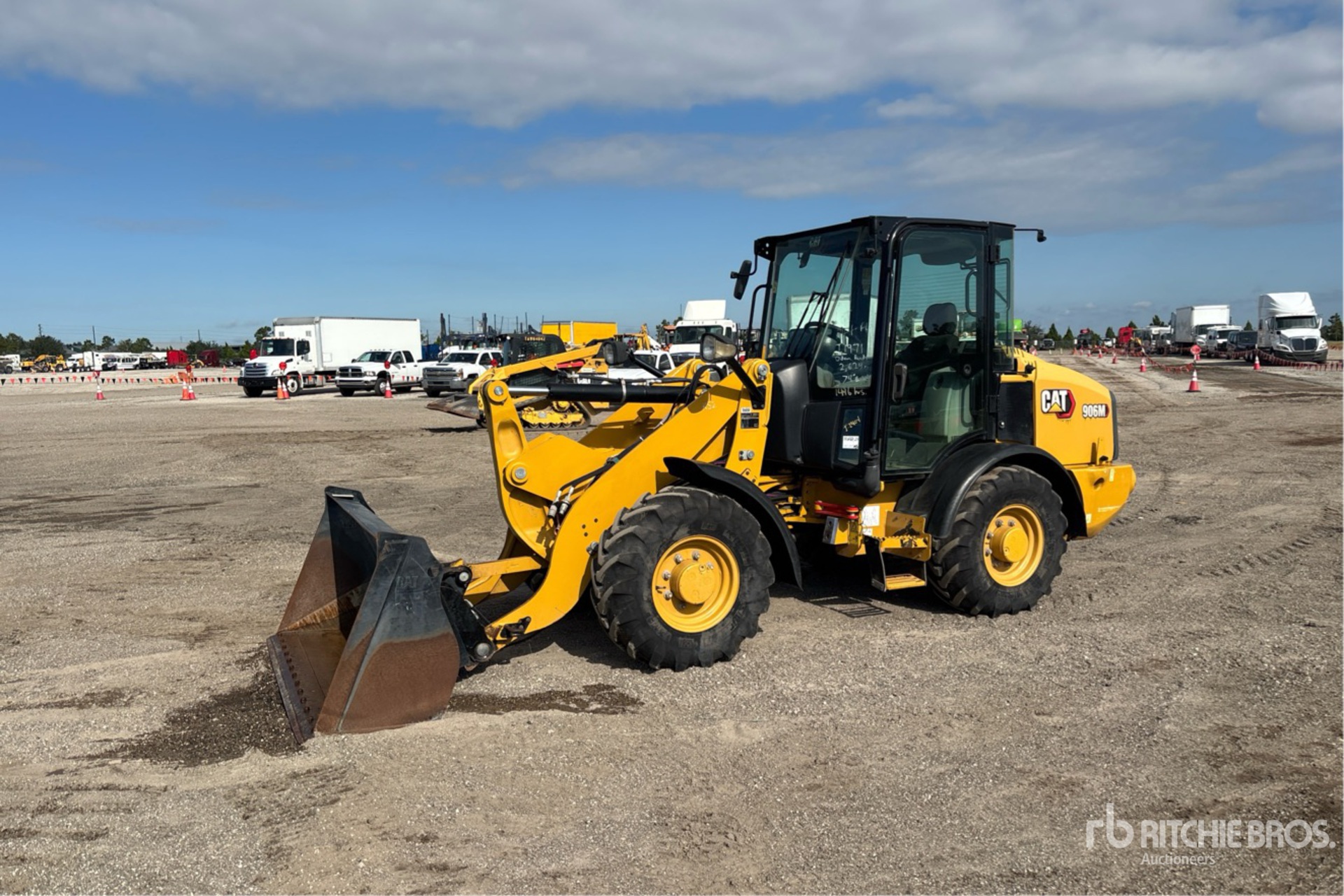 General Appearance with Spin