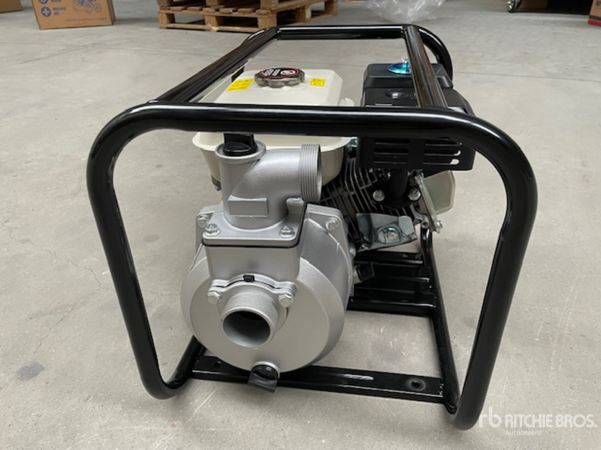 General Appearance with