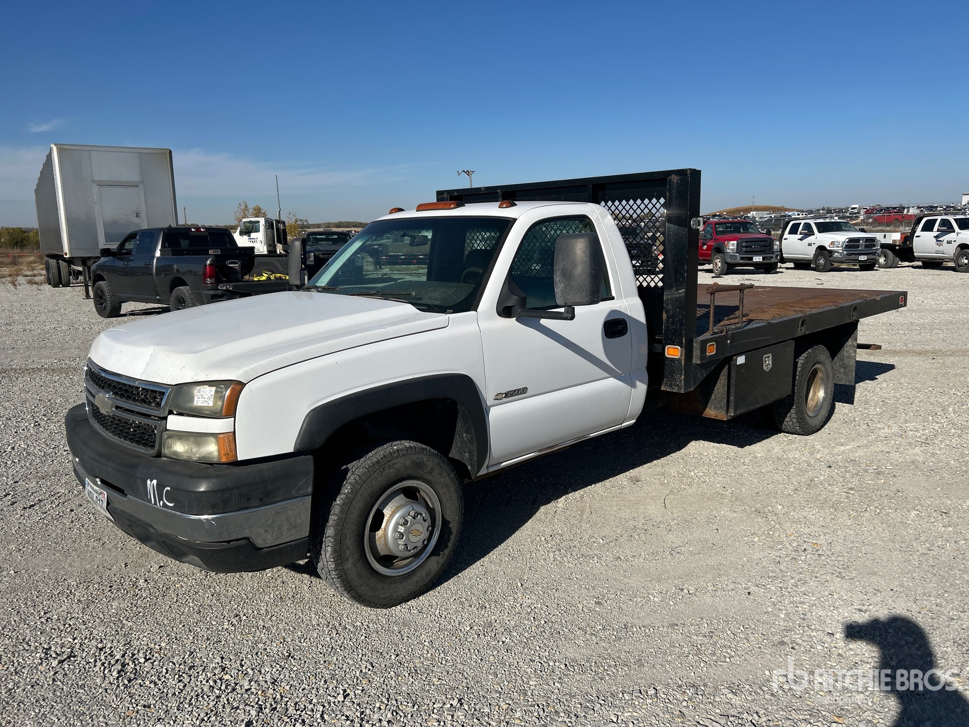 General Appearance with Spin