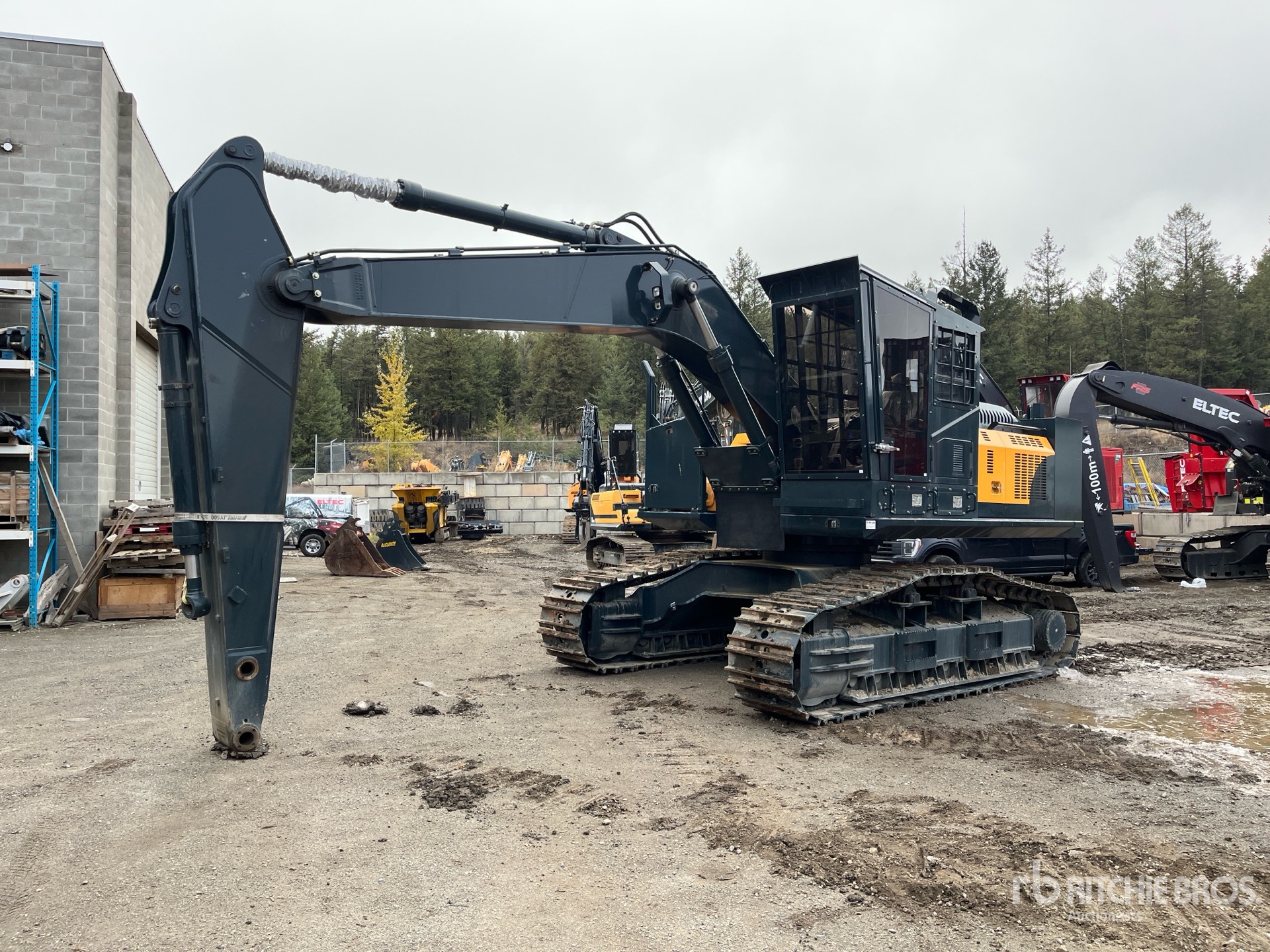 General Appearance with Spin