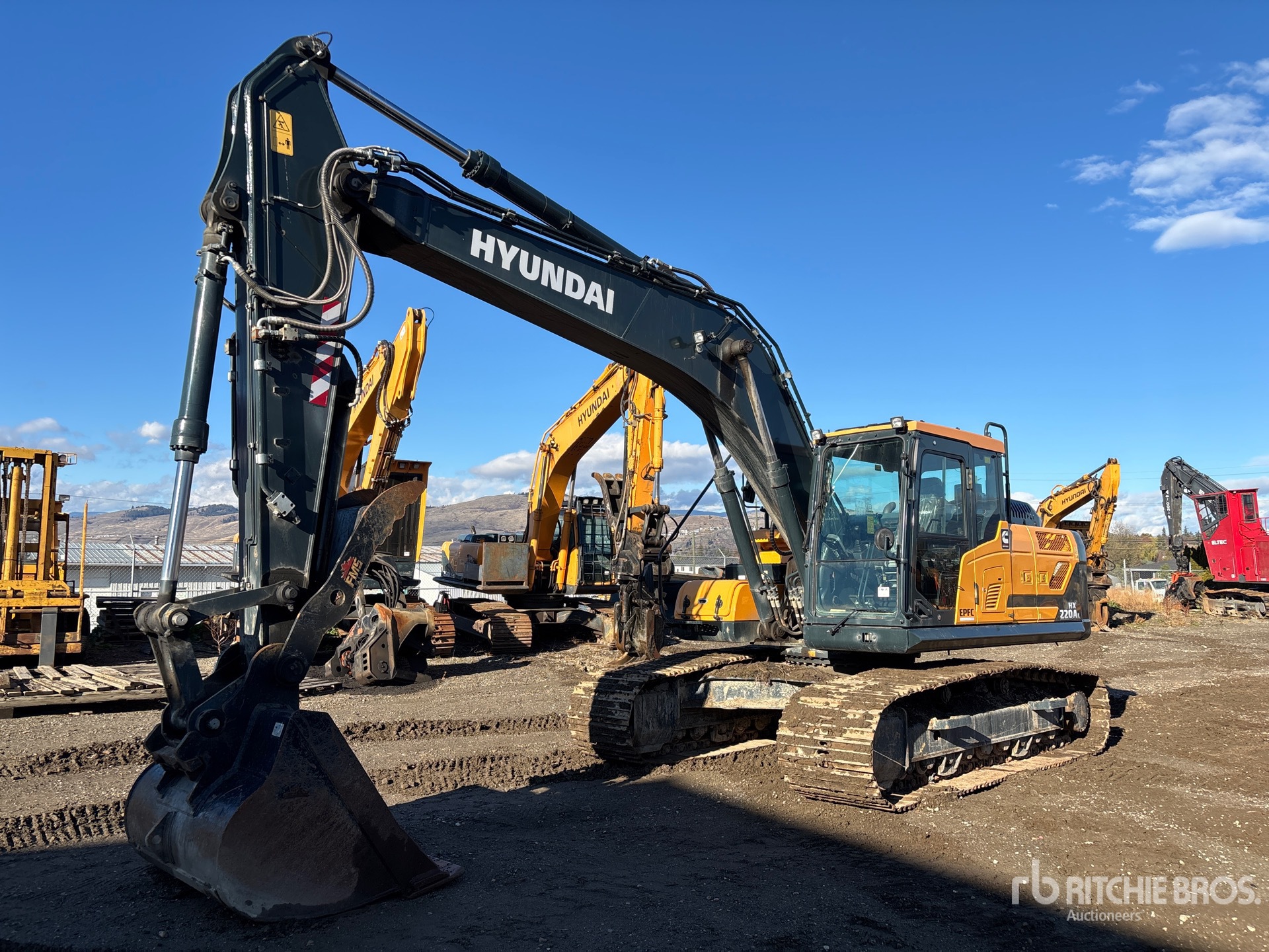 General Appearance with Spin