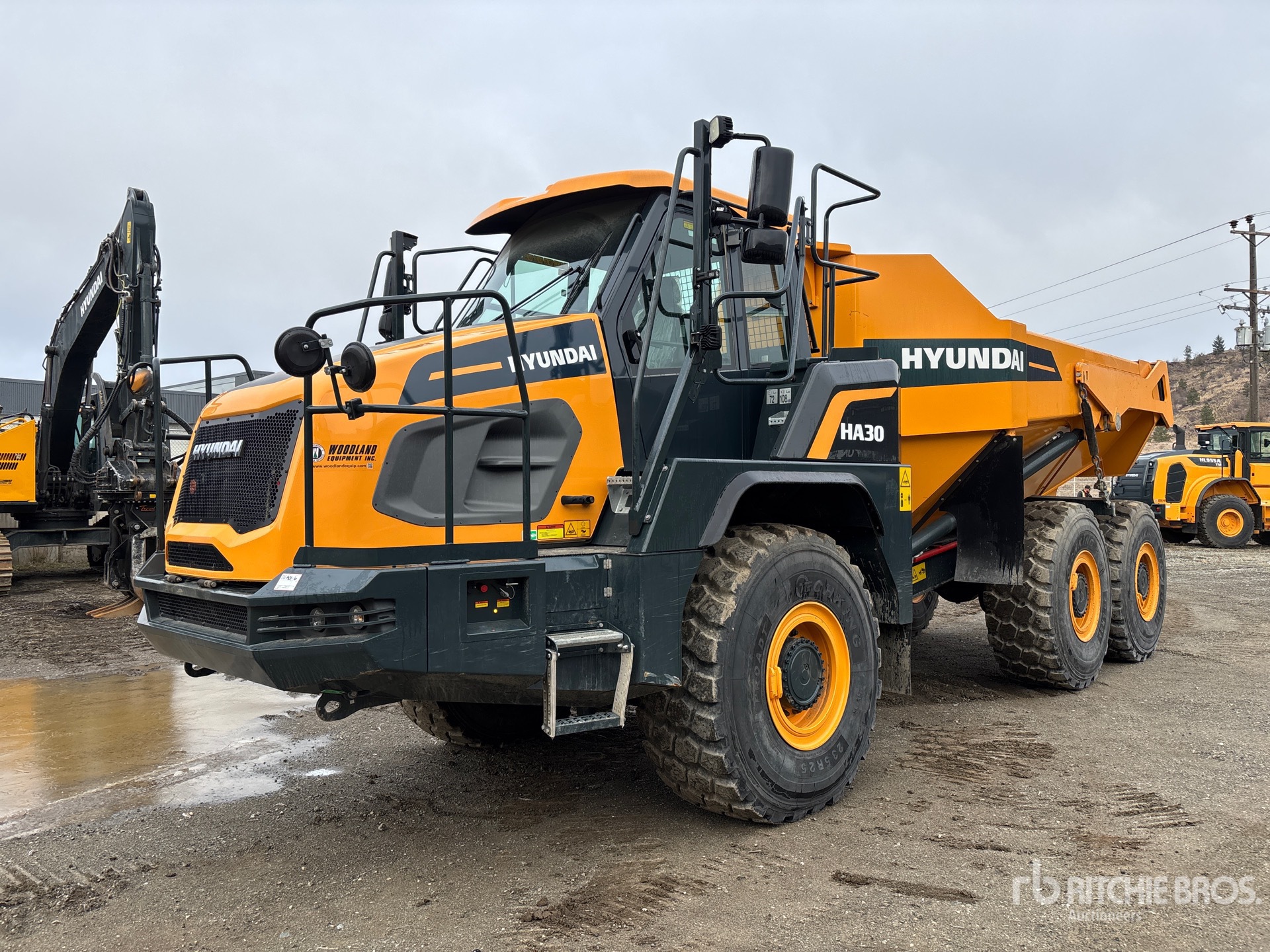 General Appearance with Spin