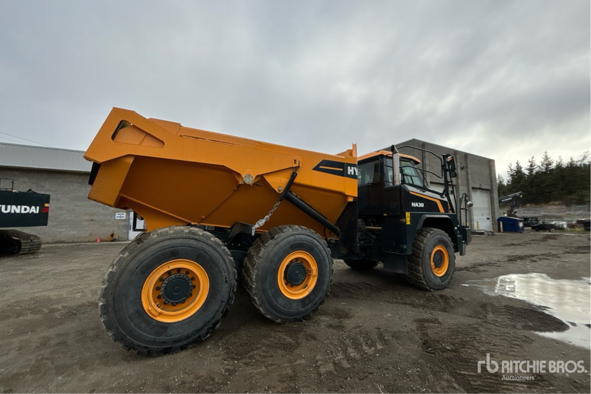 General Appearance with Picture, Right Rear Corner