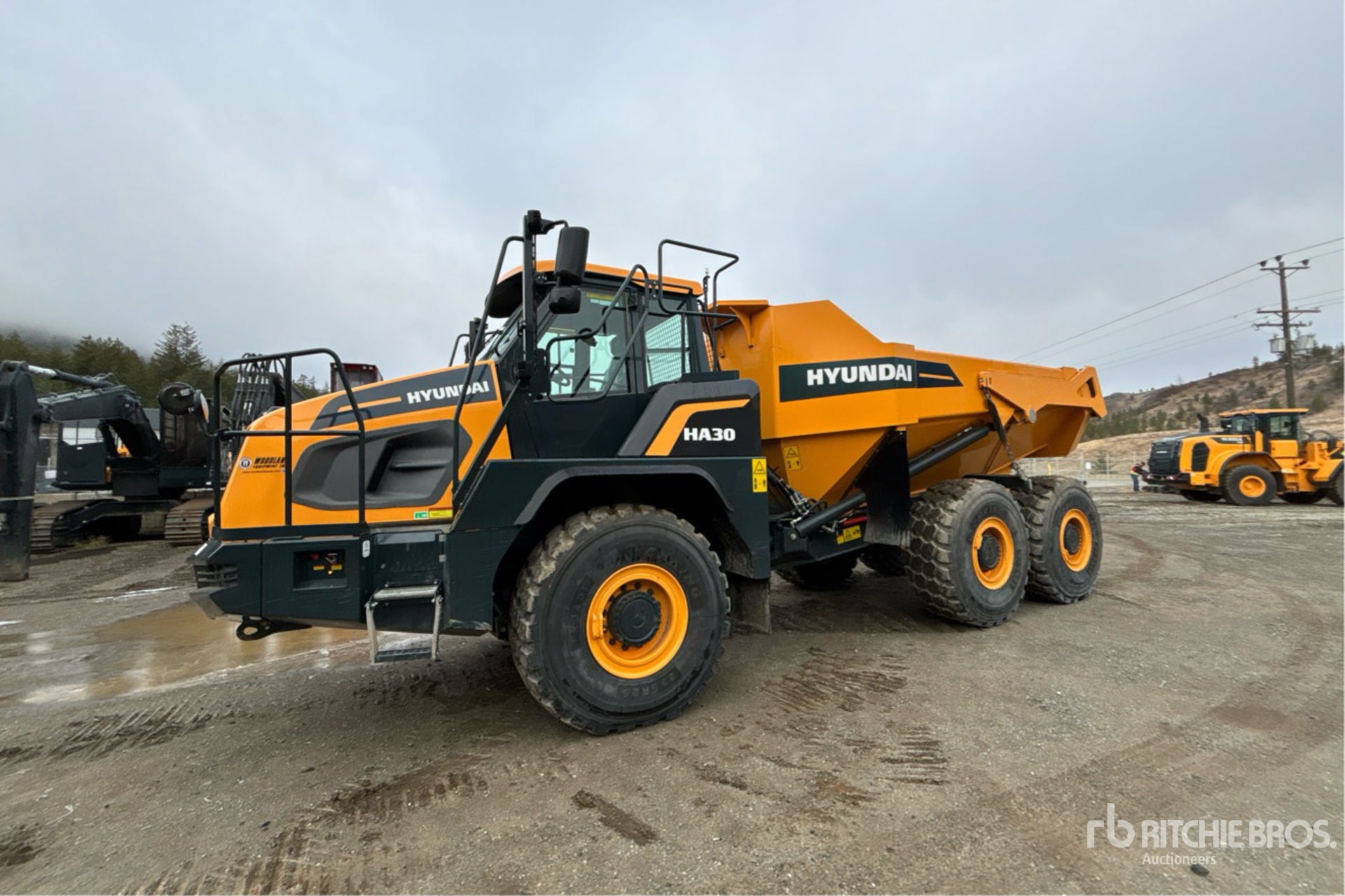 General Appearance with Picture, Left Front Corner