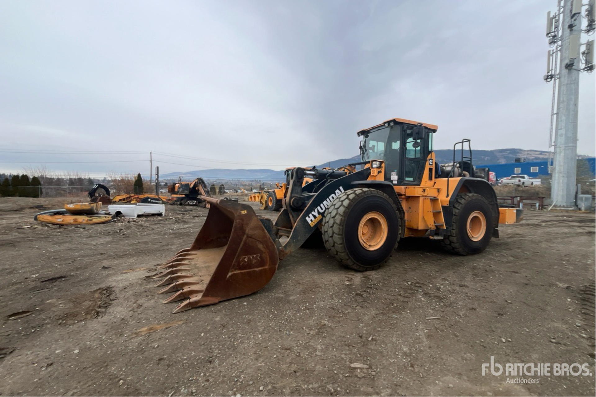 General Appearance with Imagen: esquina delantera izquierda