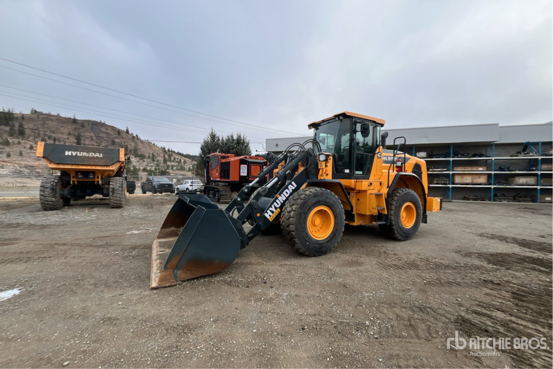 General Appearance with Picture, Left Front Corner