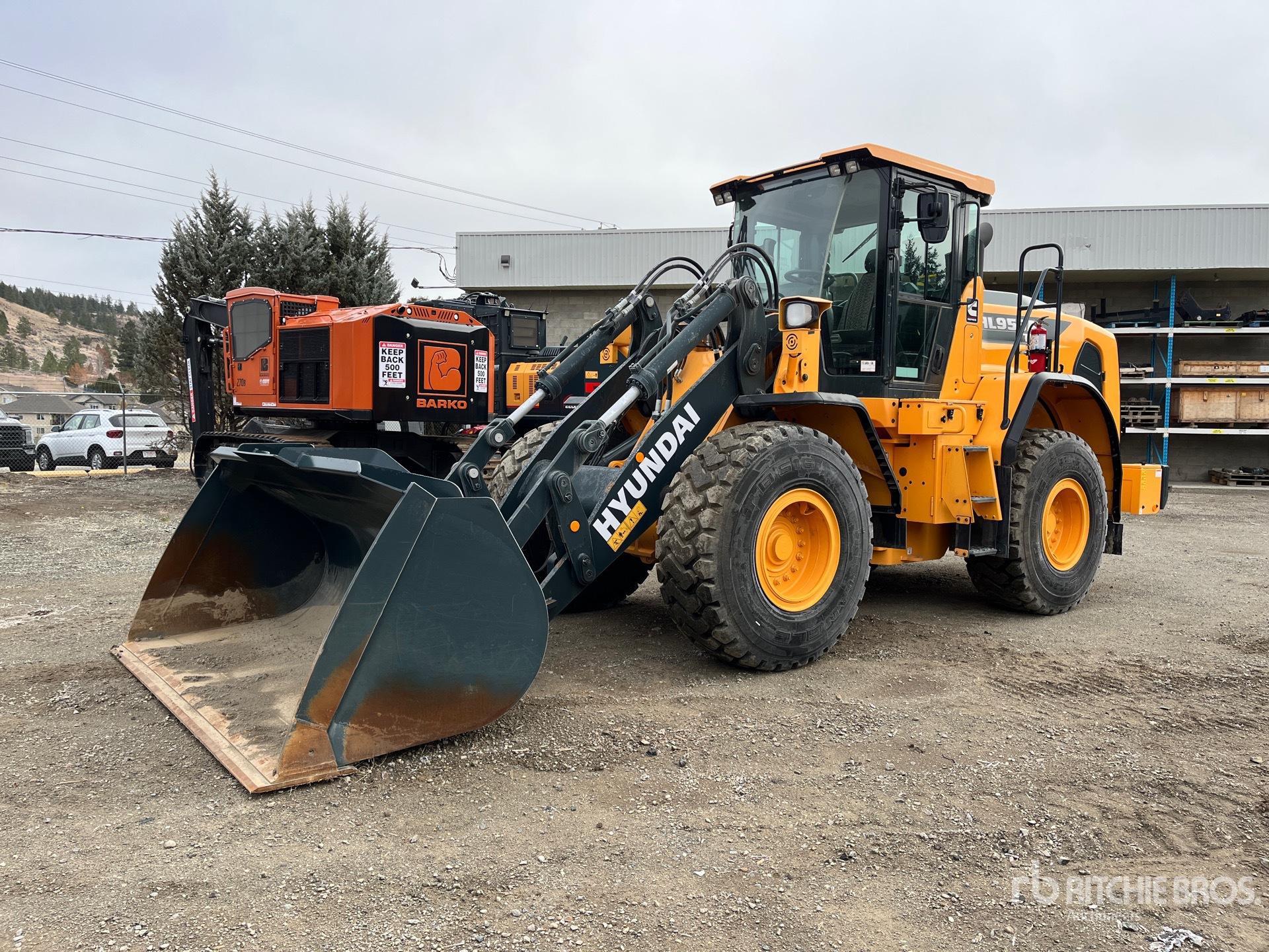 General Appearance with Spin