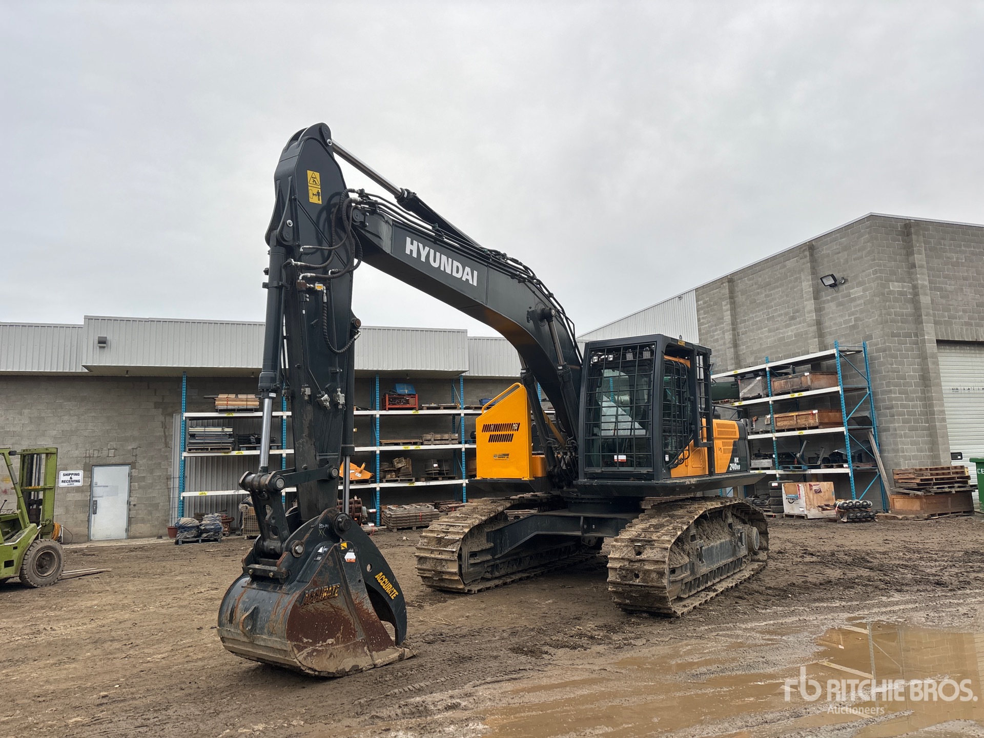 General Appearance with Spin