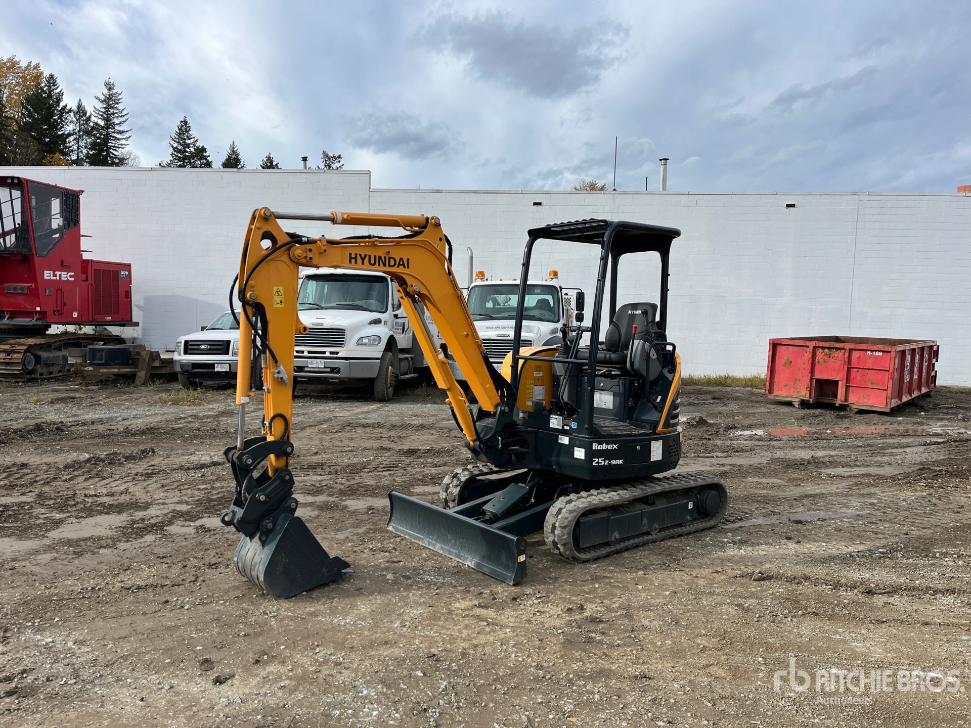 General Appearance with Spin