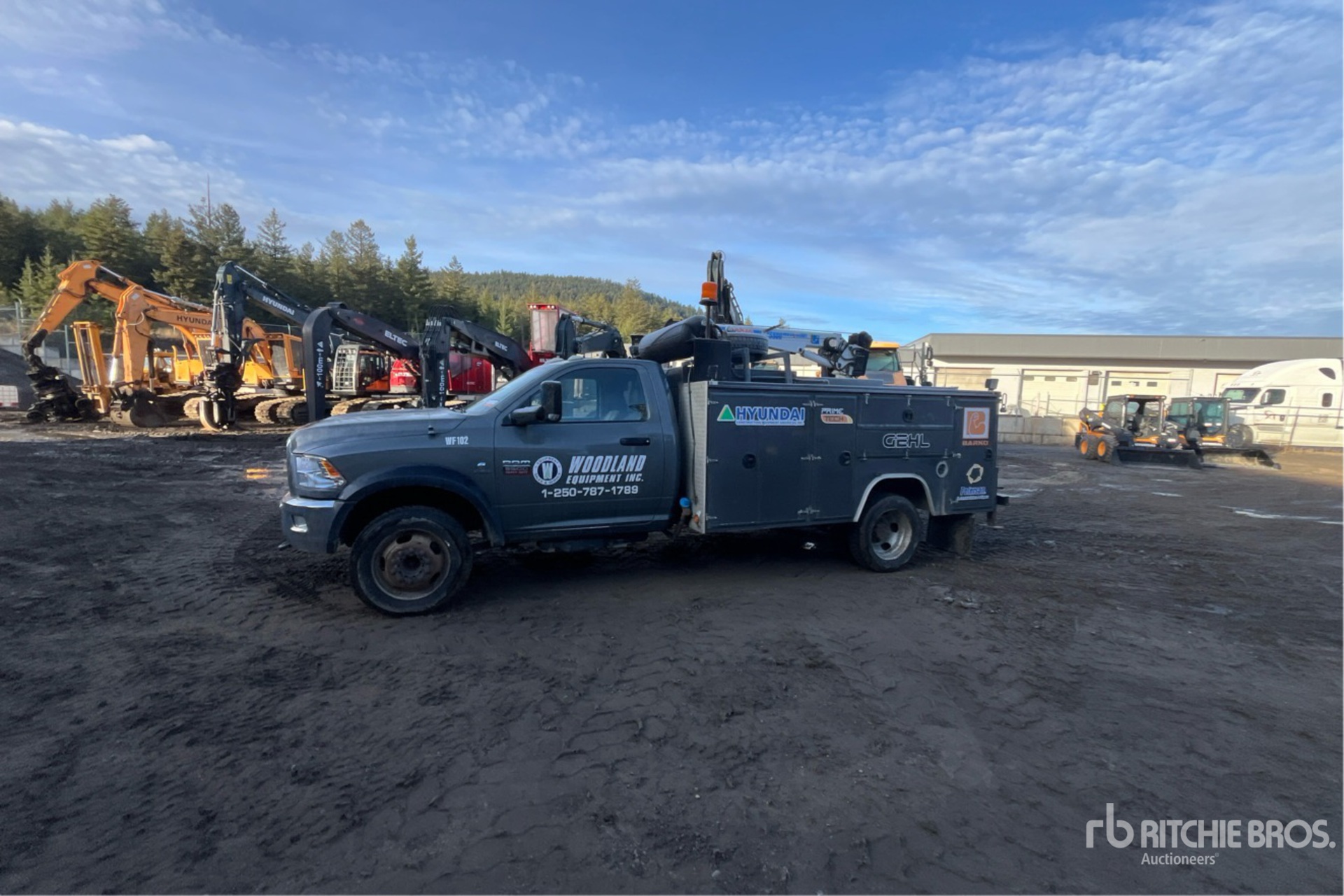 General Appearance with Picture, Left Front Corner