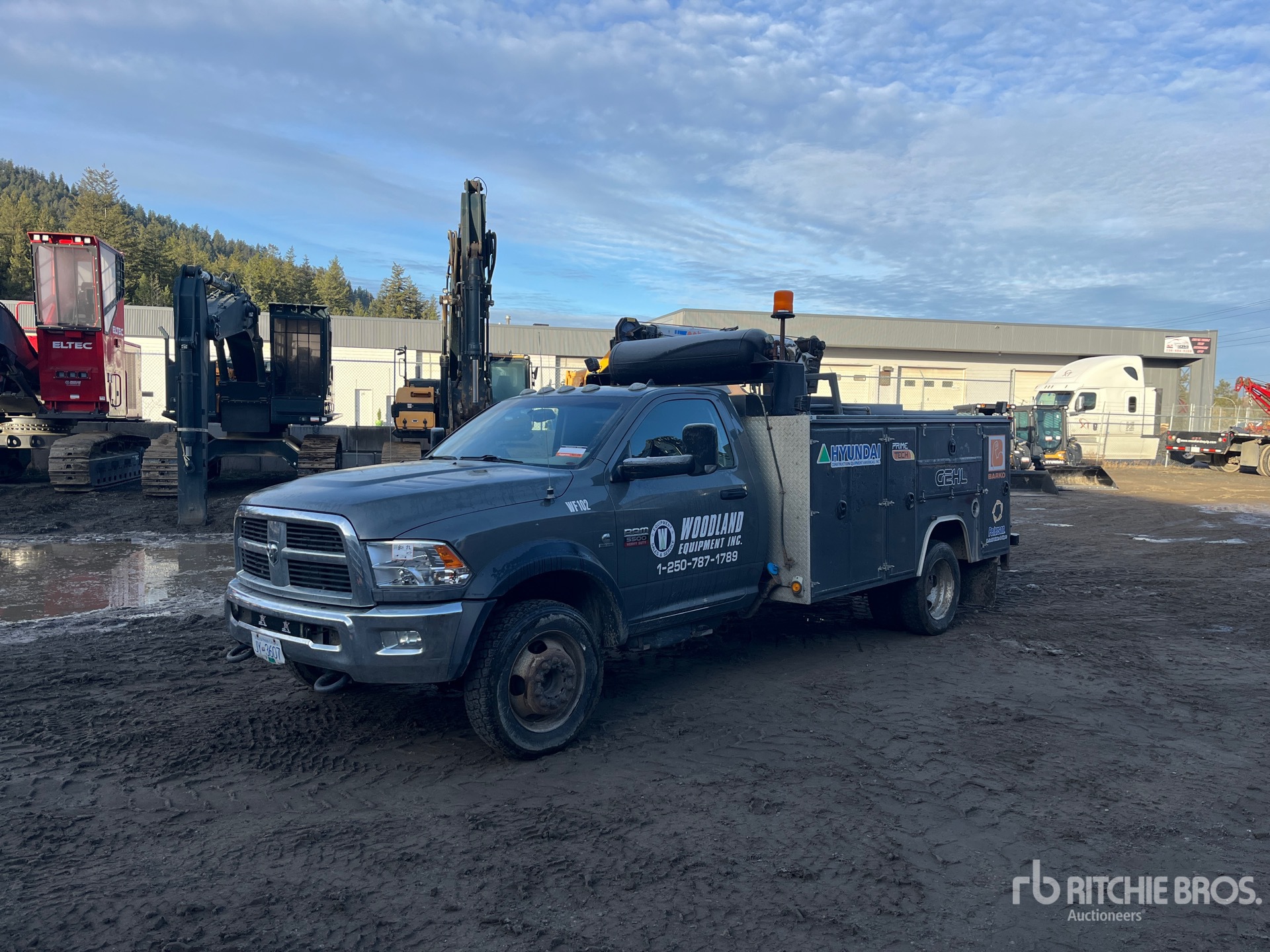 General Appearance with Spin