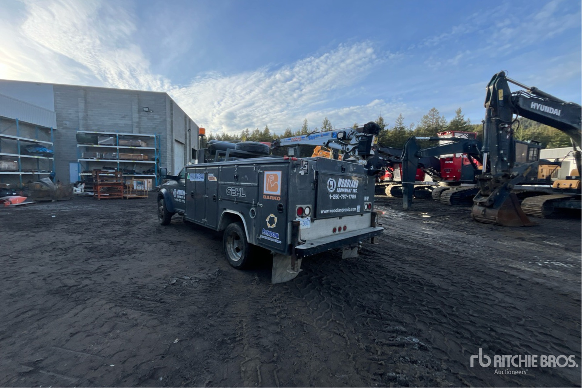 General Appearance with Picture, Left Rear Corner