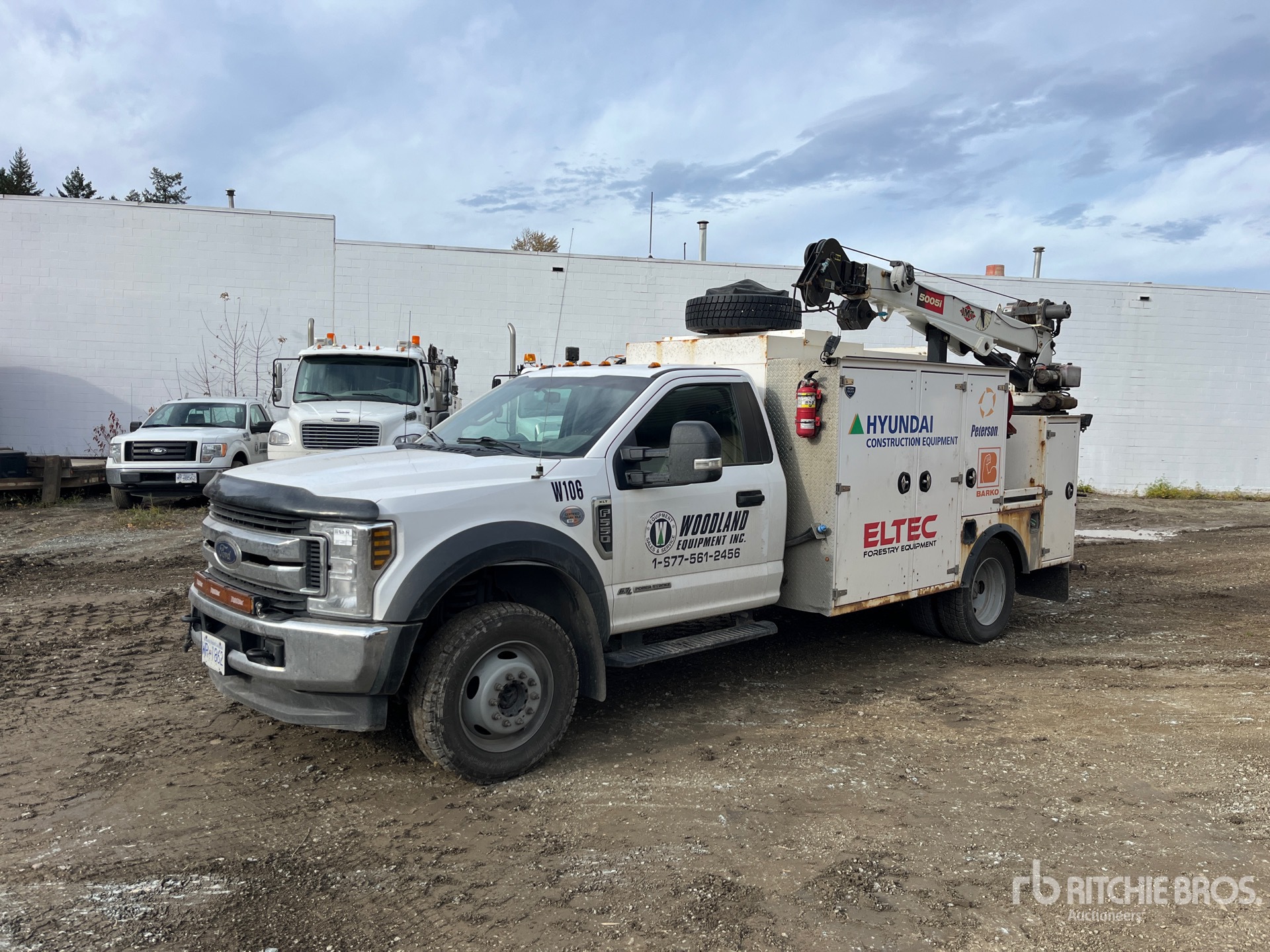 General Appearance with Spin