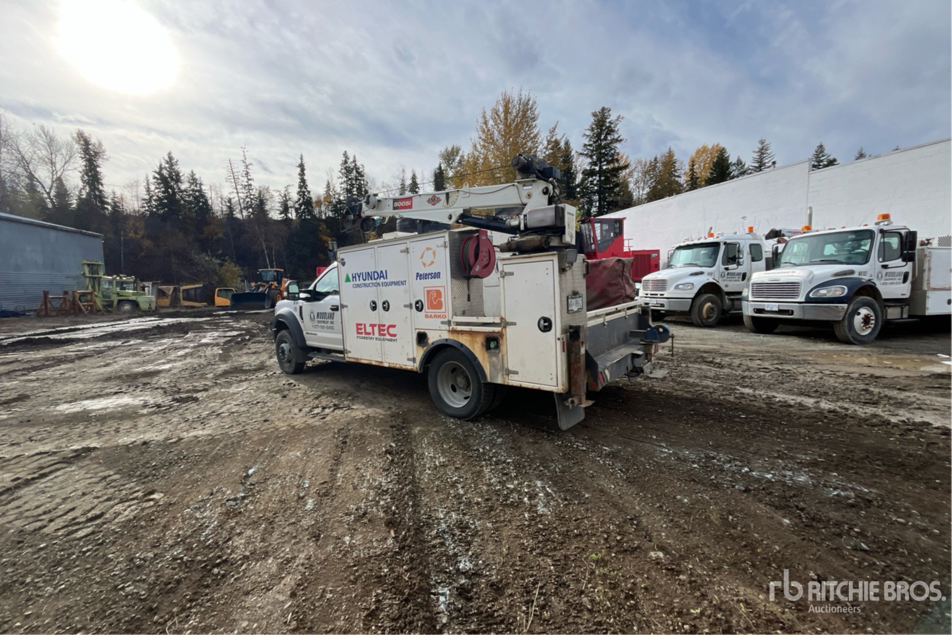 General Appearance with Picture, Left Rear Corner