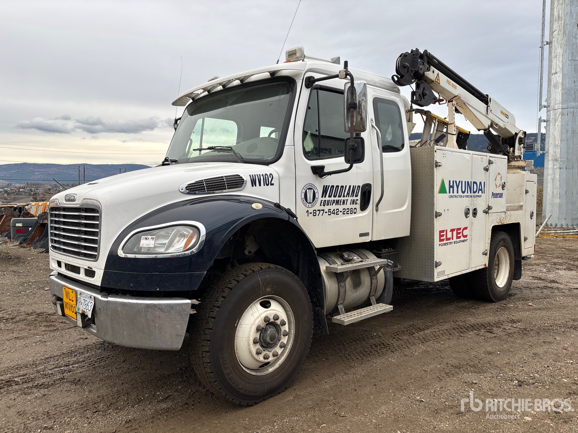 General Appearance with Spin