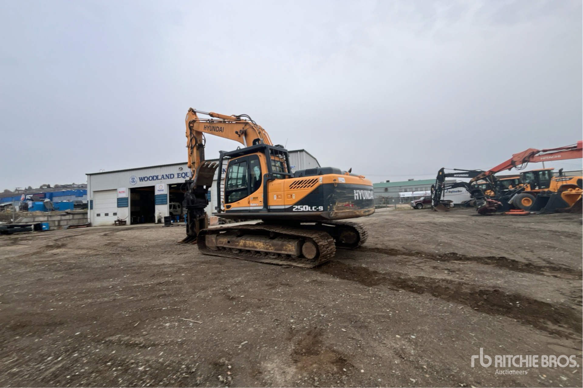 General Appearance with Bild, Ecke hinten links