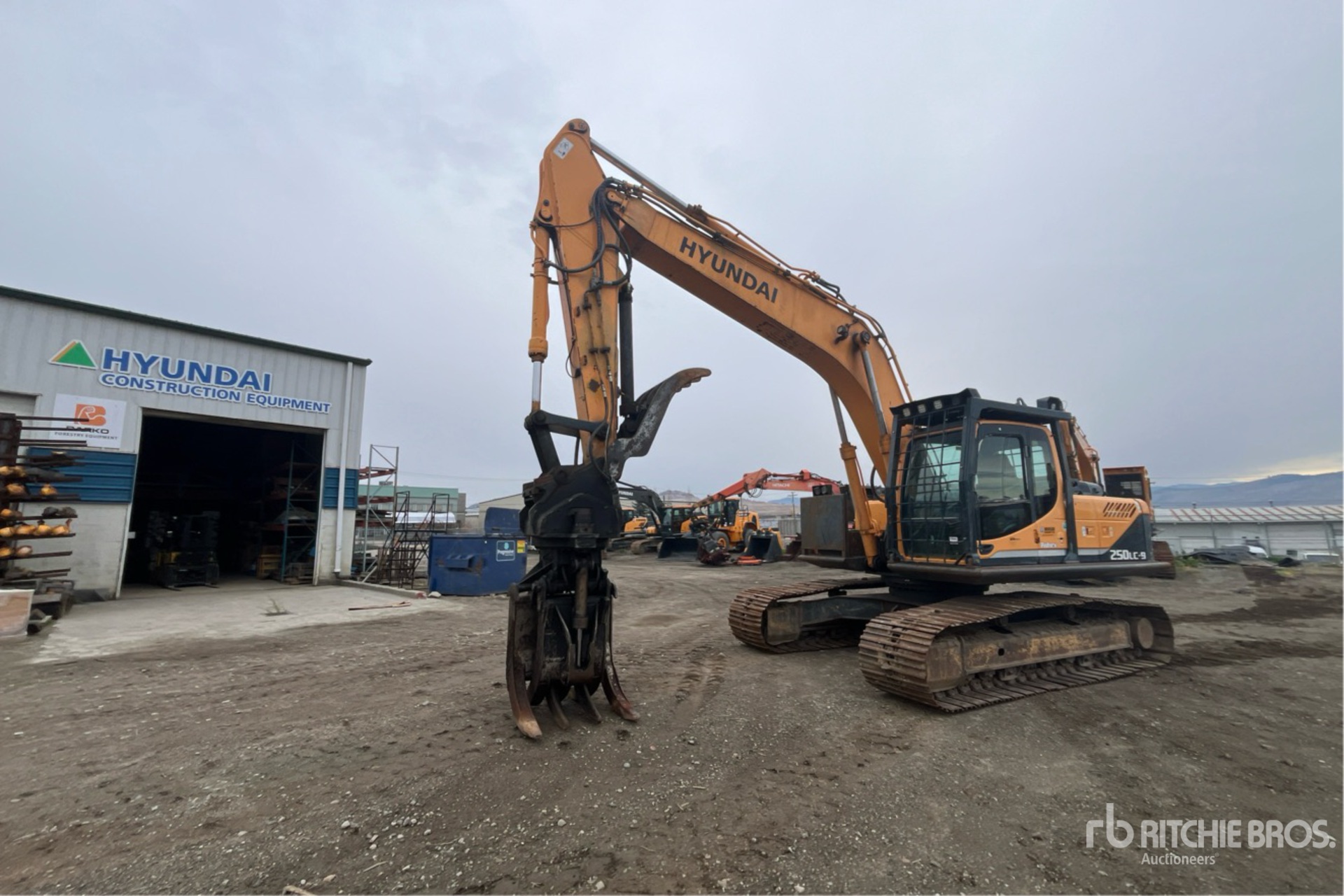 General Appearance with Bild, Ecke vorne links