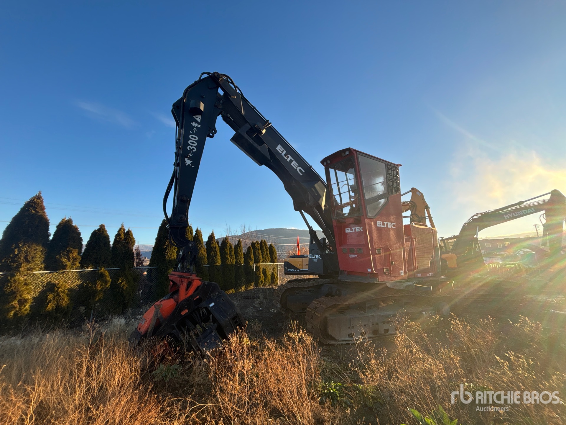 General Appearance with Featured Photo