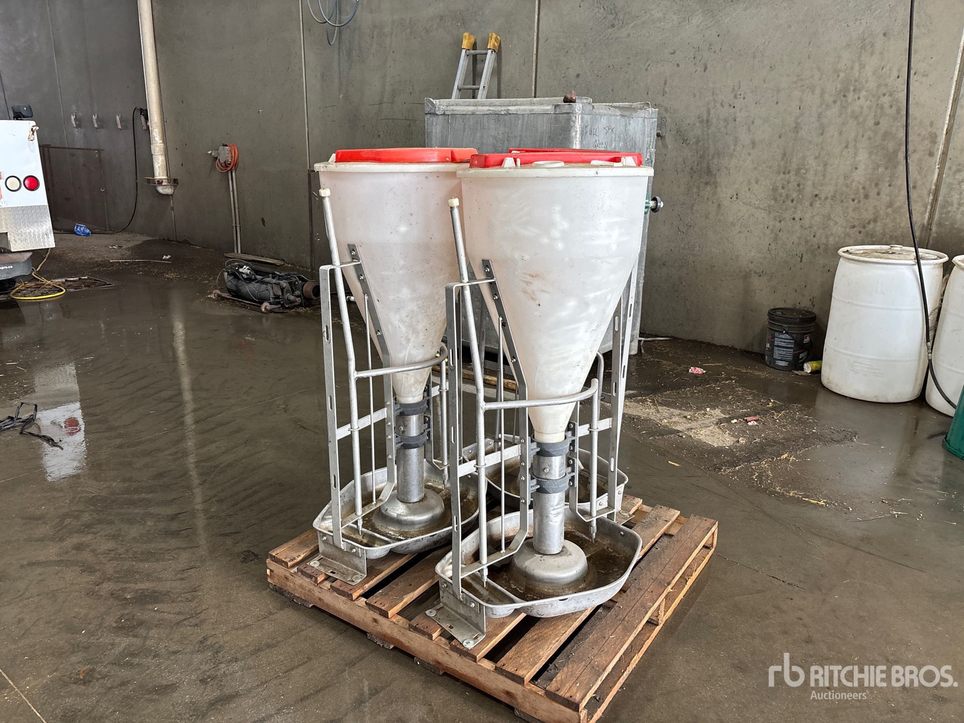 General Appearance with Bild, Ecke hinten rechts