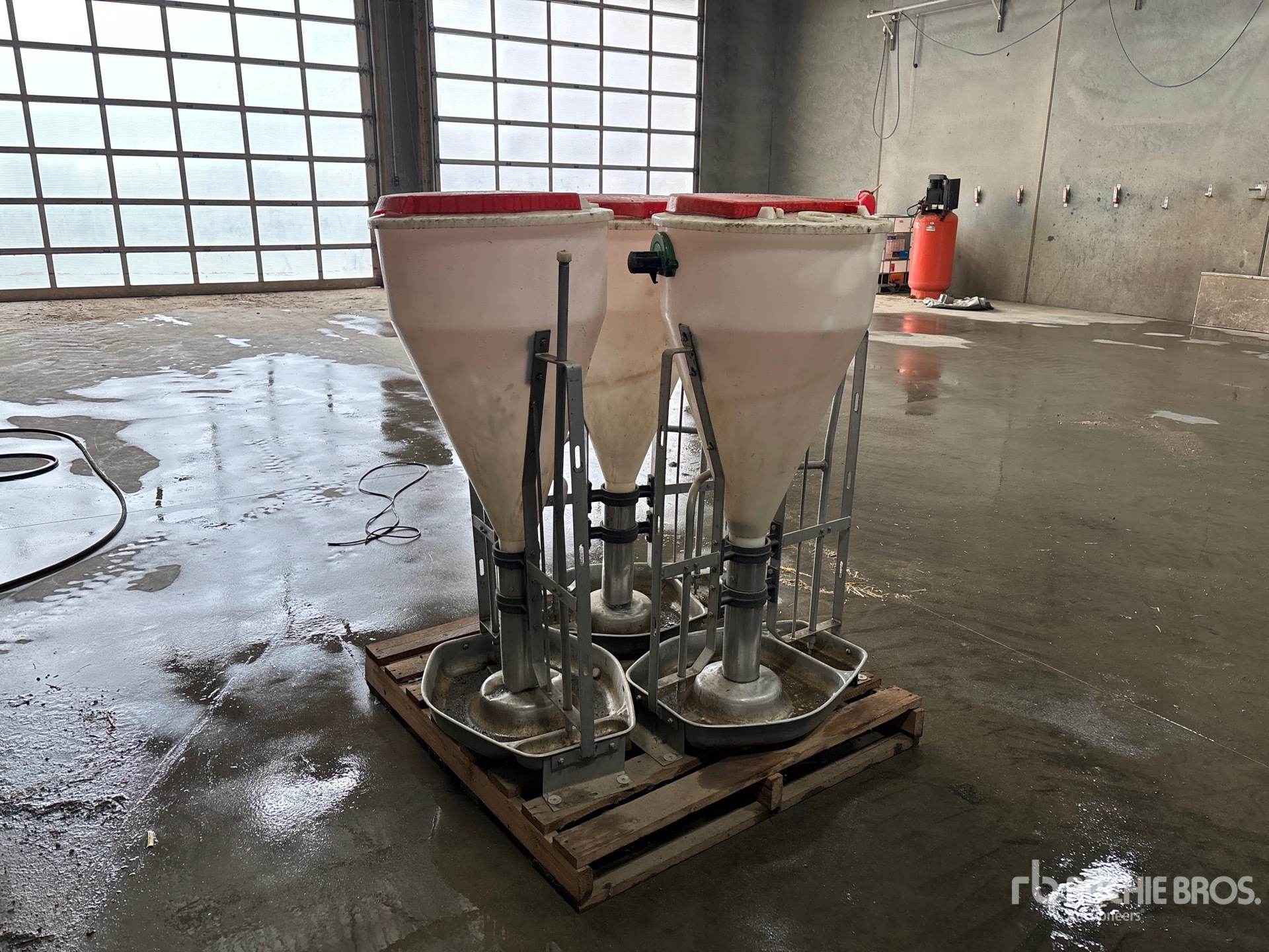 General Appearance with Bild, Ecke vorne links