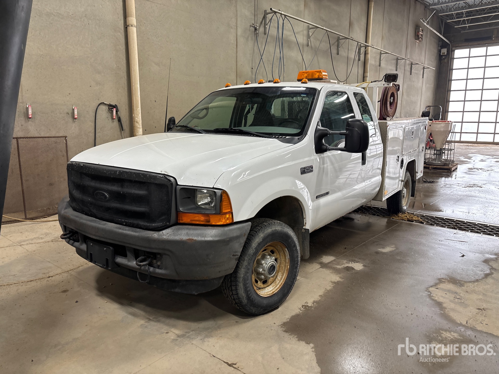 General Appearance with Bild, Ecke vorne links